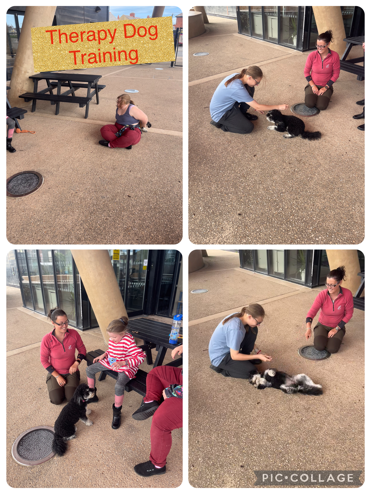 Image of Therapy Dog Training at The Oracle
