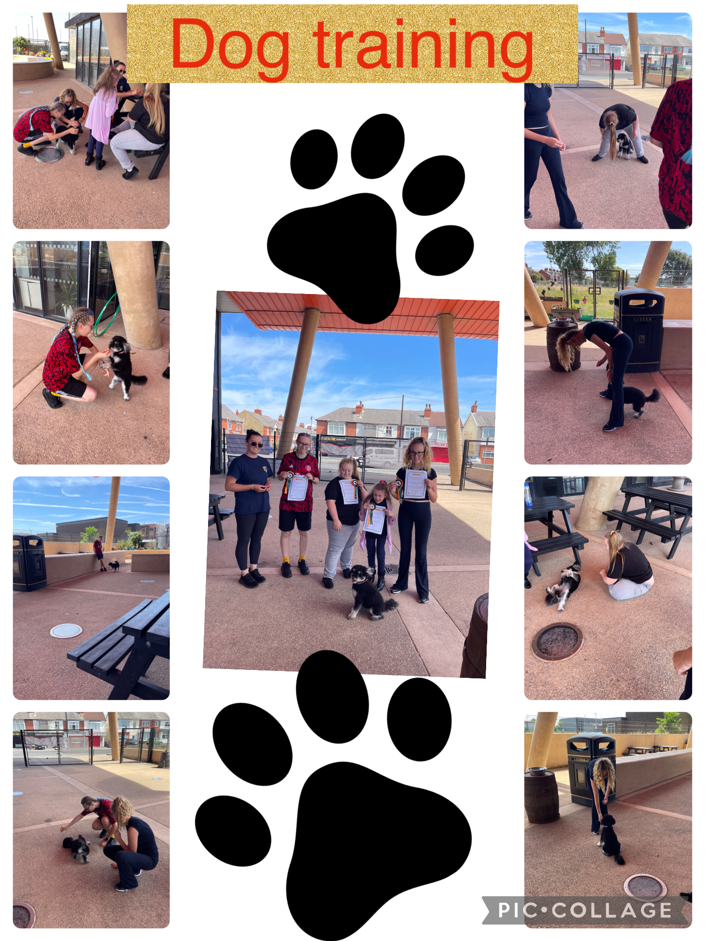 Image of Celebrating Success: Kasharna, Ruby, Blerina, and Christina Complete Dog Training