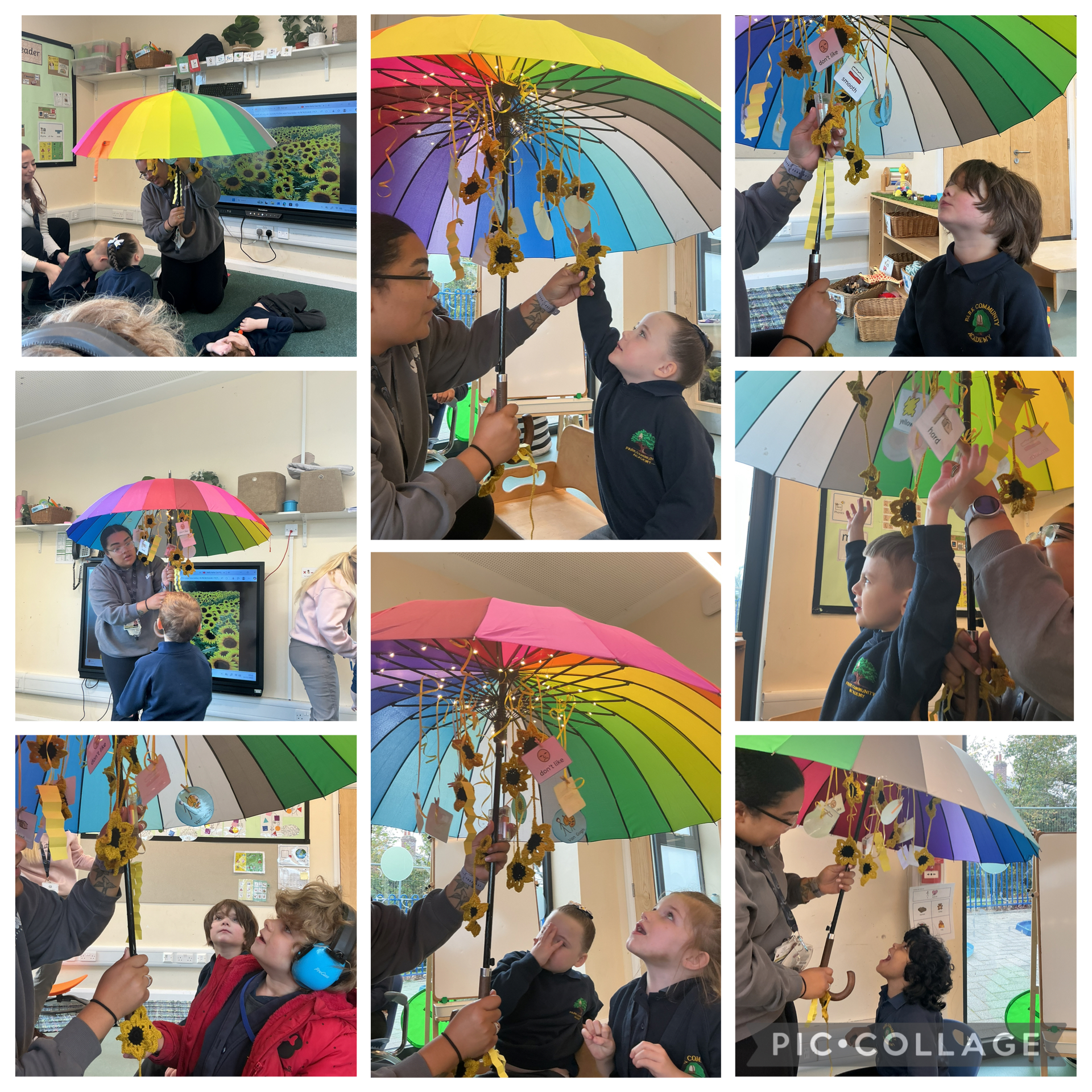 Image of Van Gogh’s Sunflower