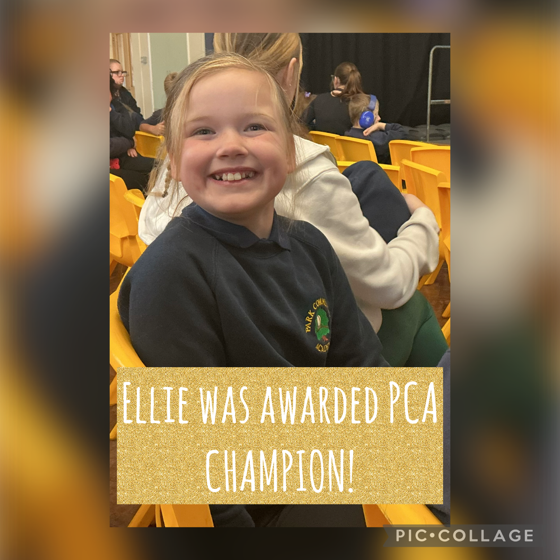 Image of PCA WAY CHAMPION 