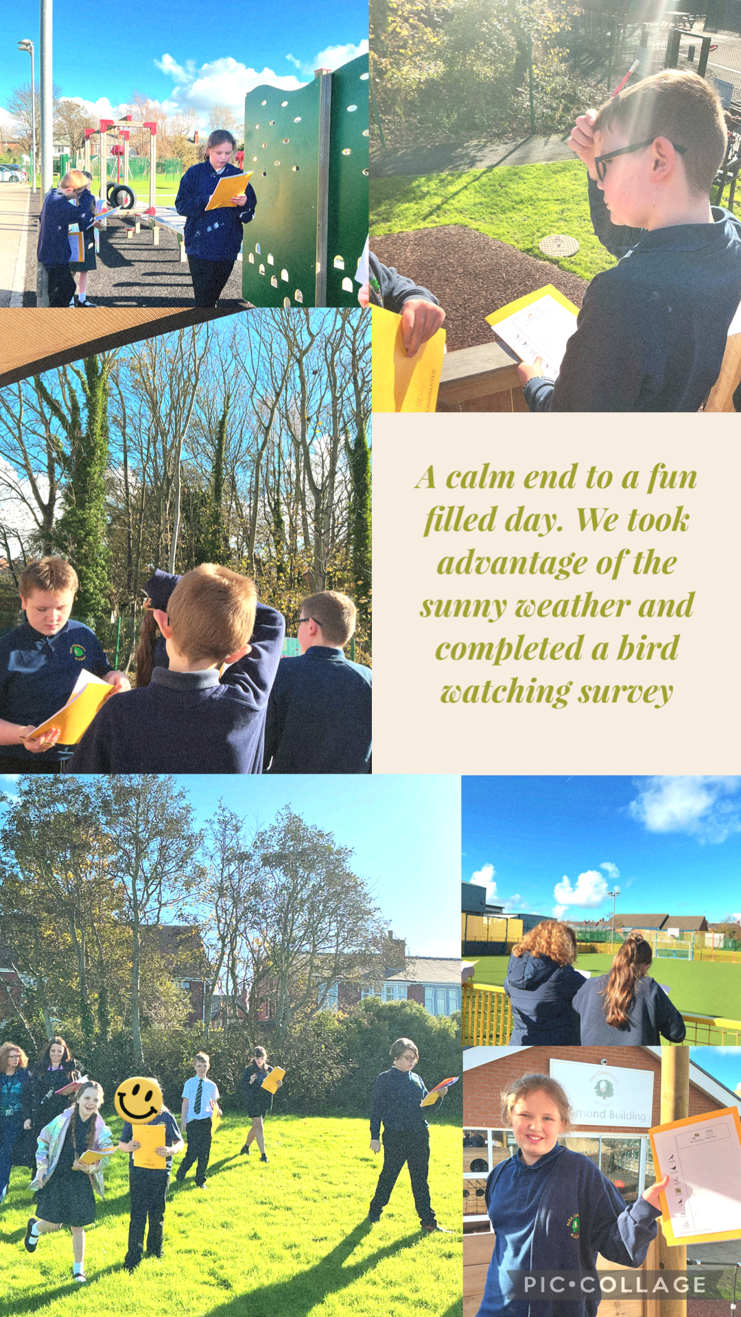 Image of Bird watching in the sunshine 