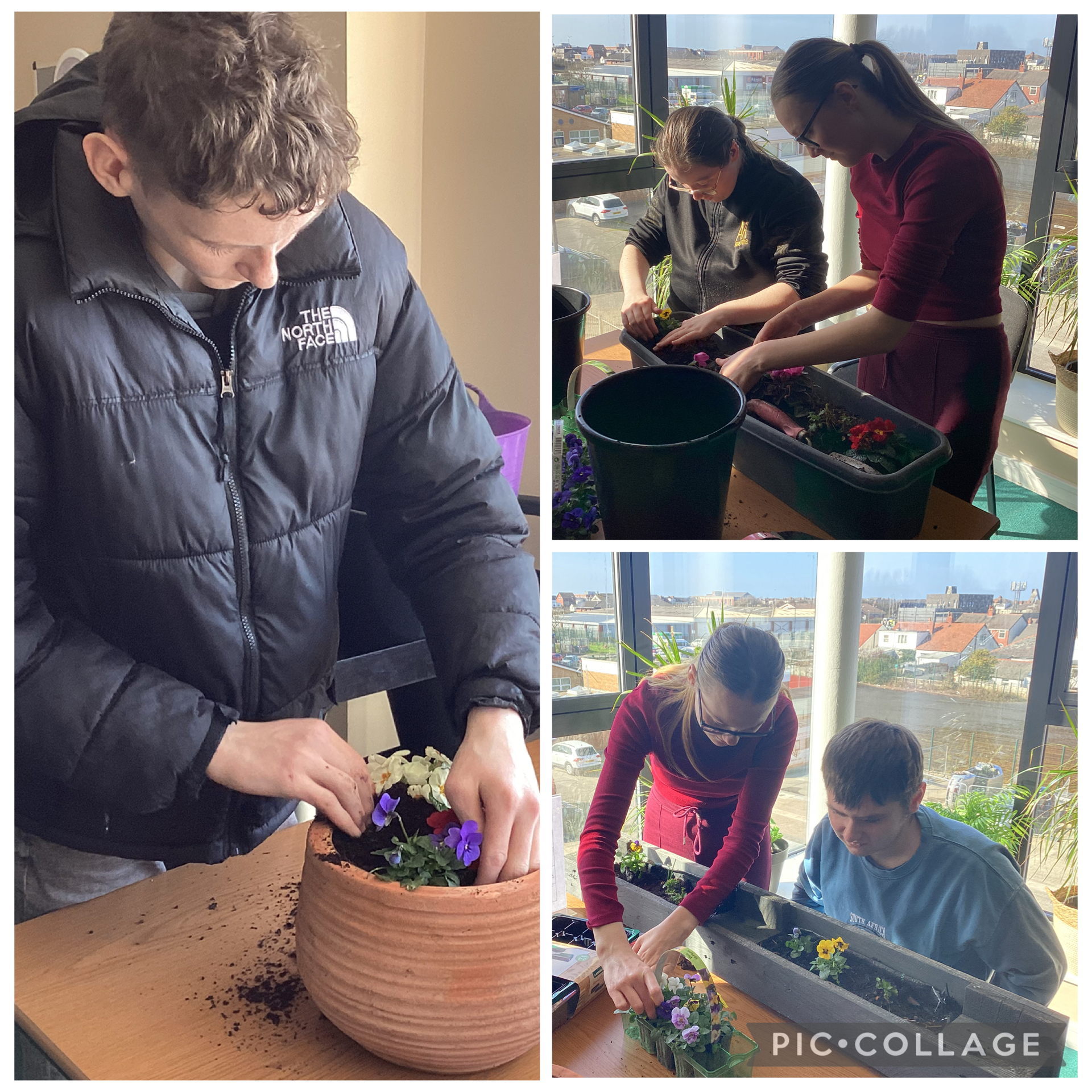 Image of Spring has sprung 