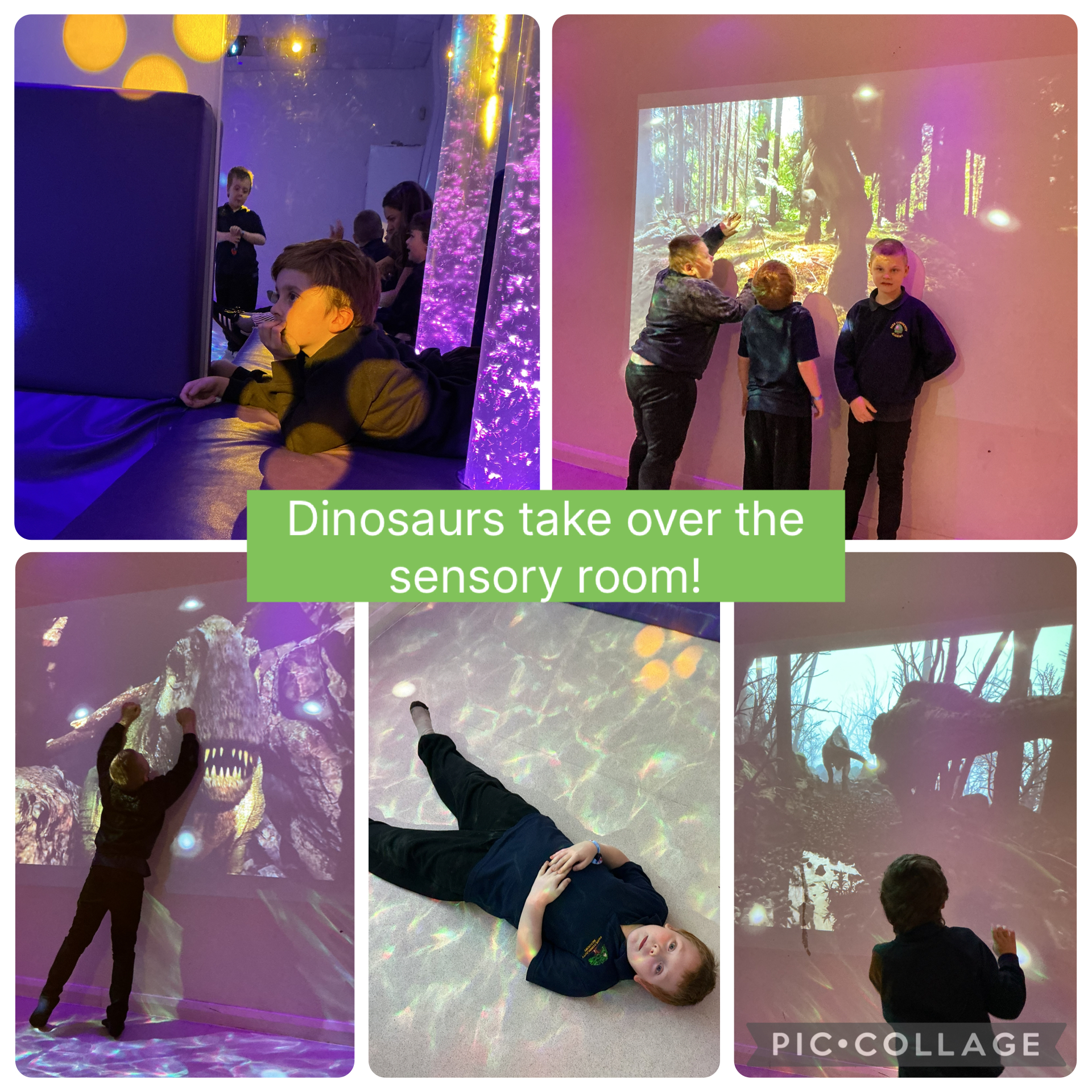 Image of DINOSAURS IN THE SENSORY ROOM