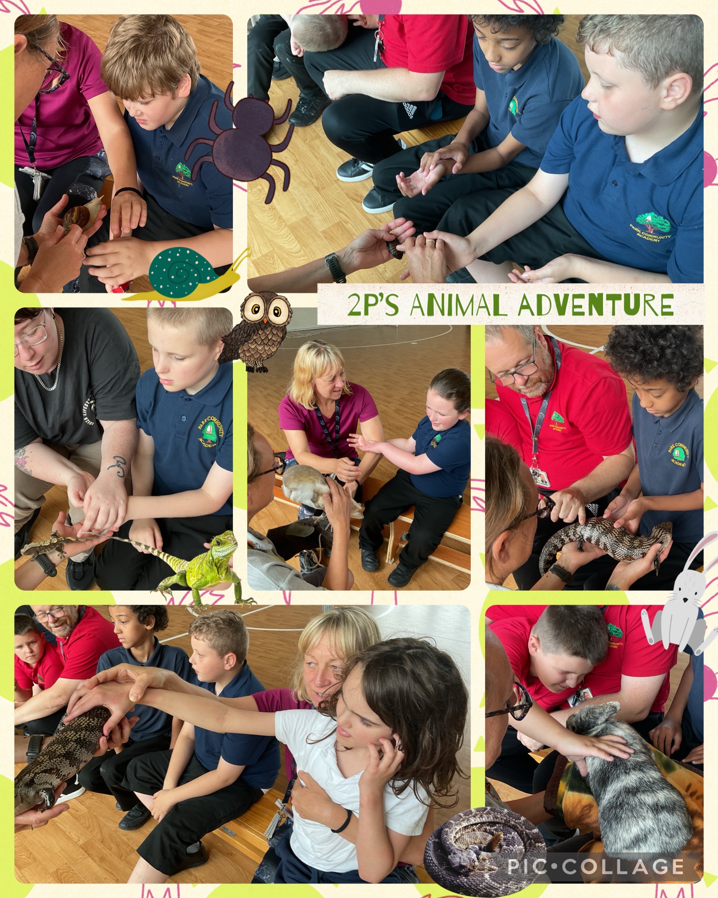 Image of 2P’s Wildlife Adventure 
