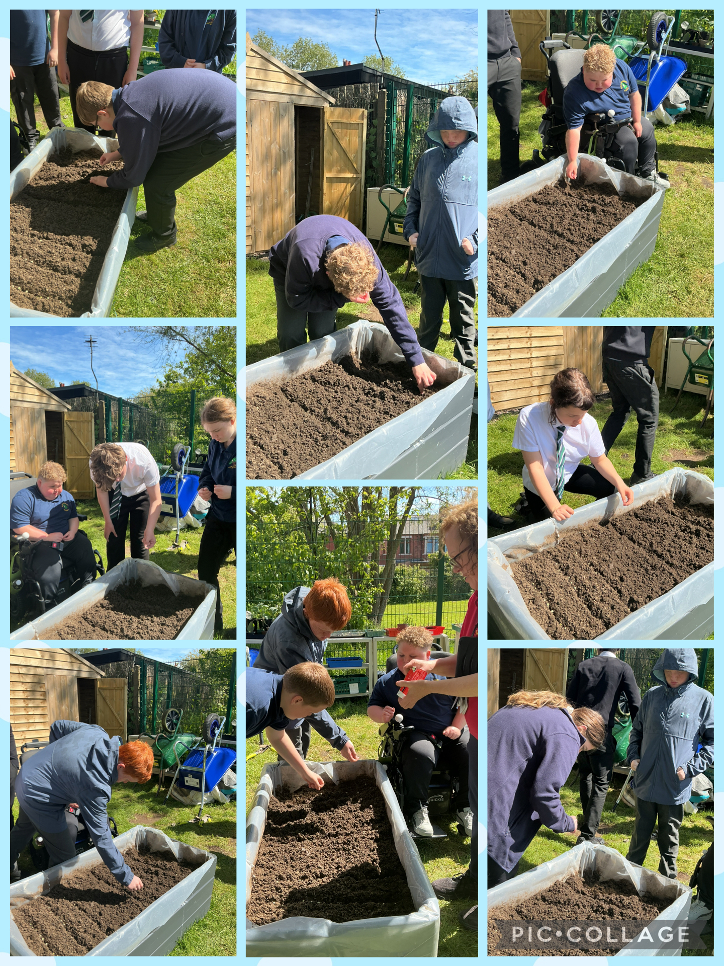 Image of Planting