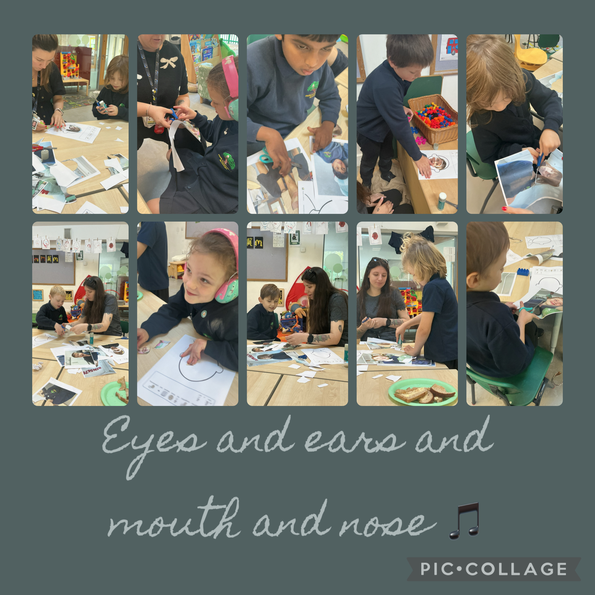 Image of Exploring our face!