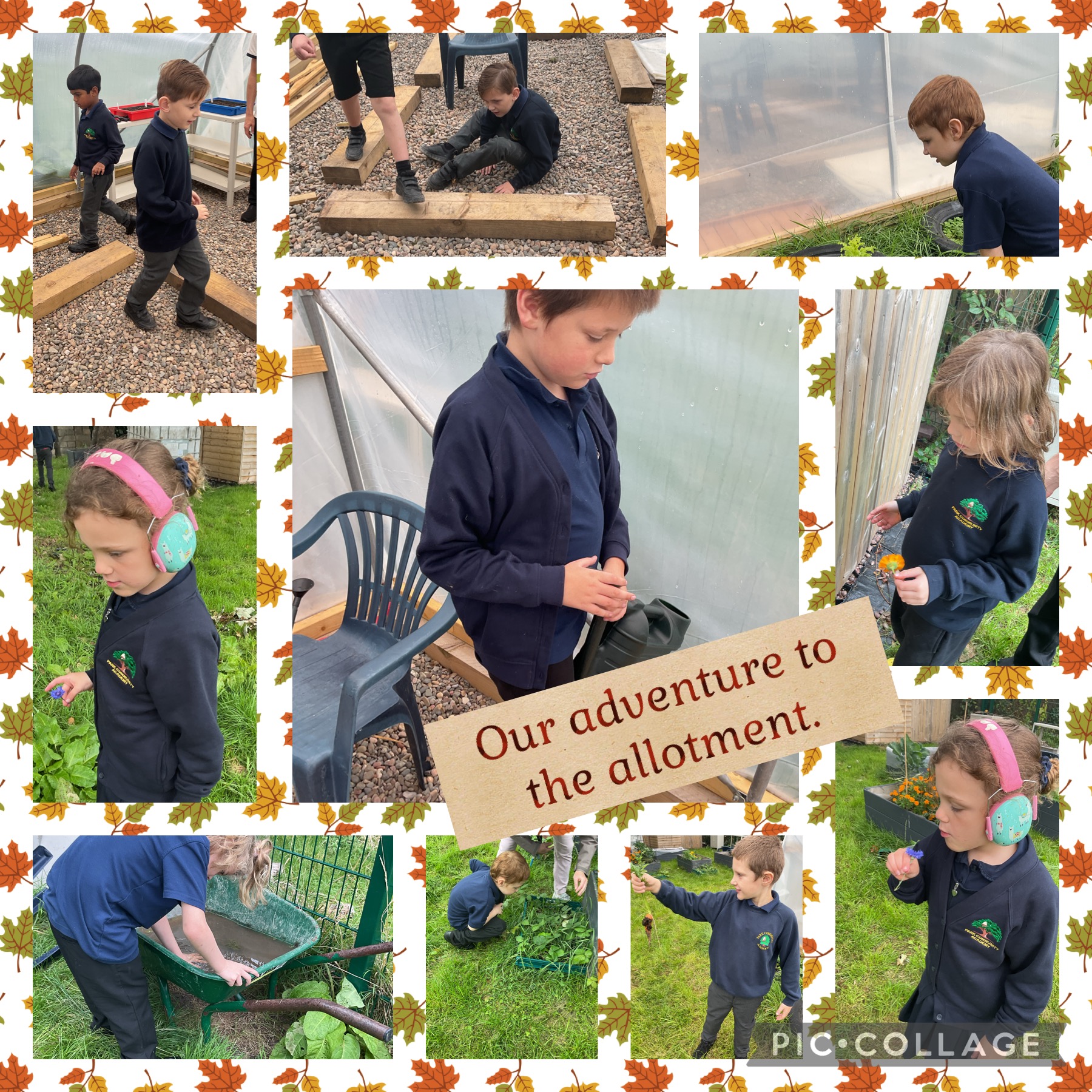 Image of Exploring our allotment