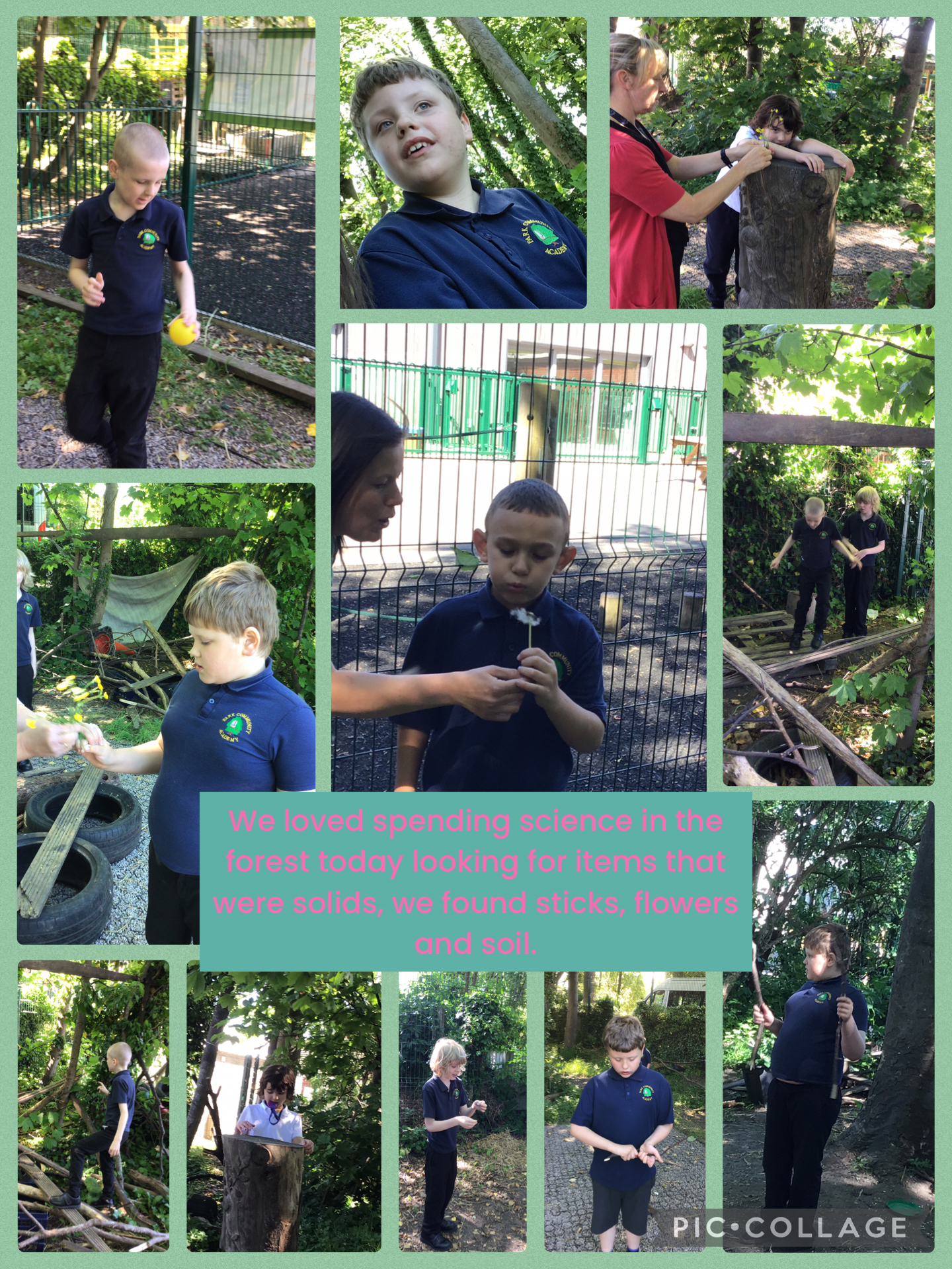 Image of Investigating in the forest