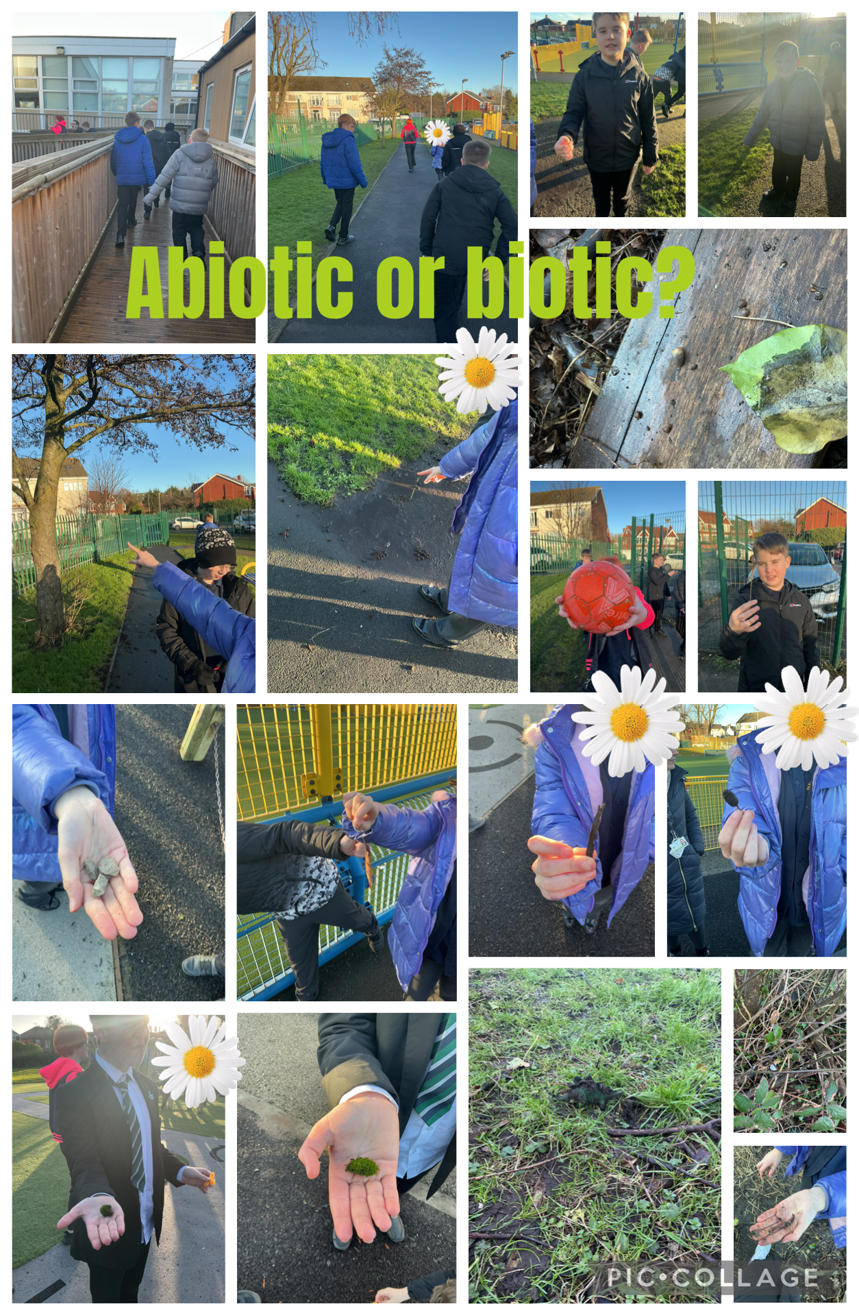 Image of We went on an adventure during geography!