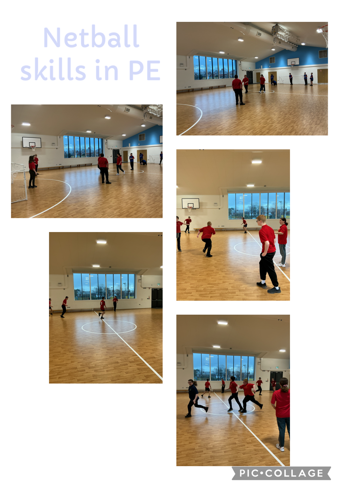Image of Netball Skills 