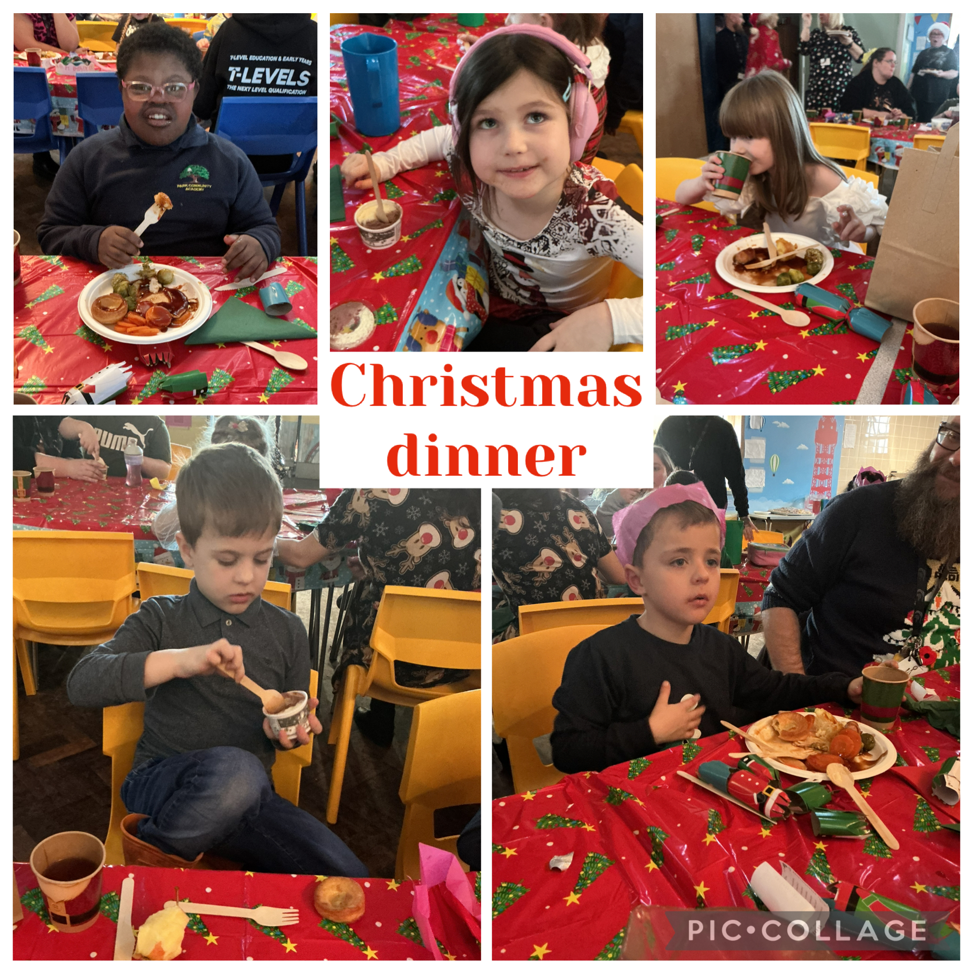 Image of Christmas dinner 