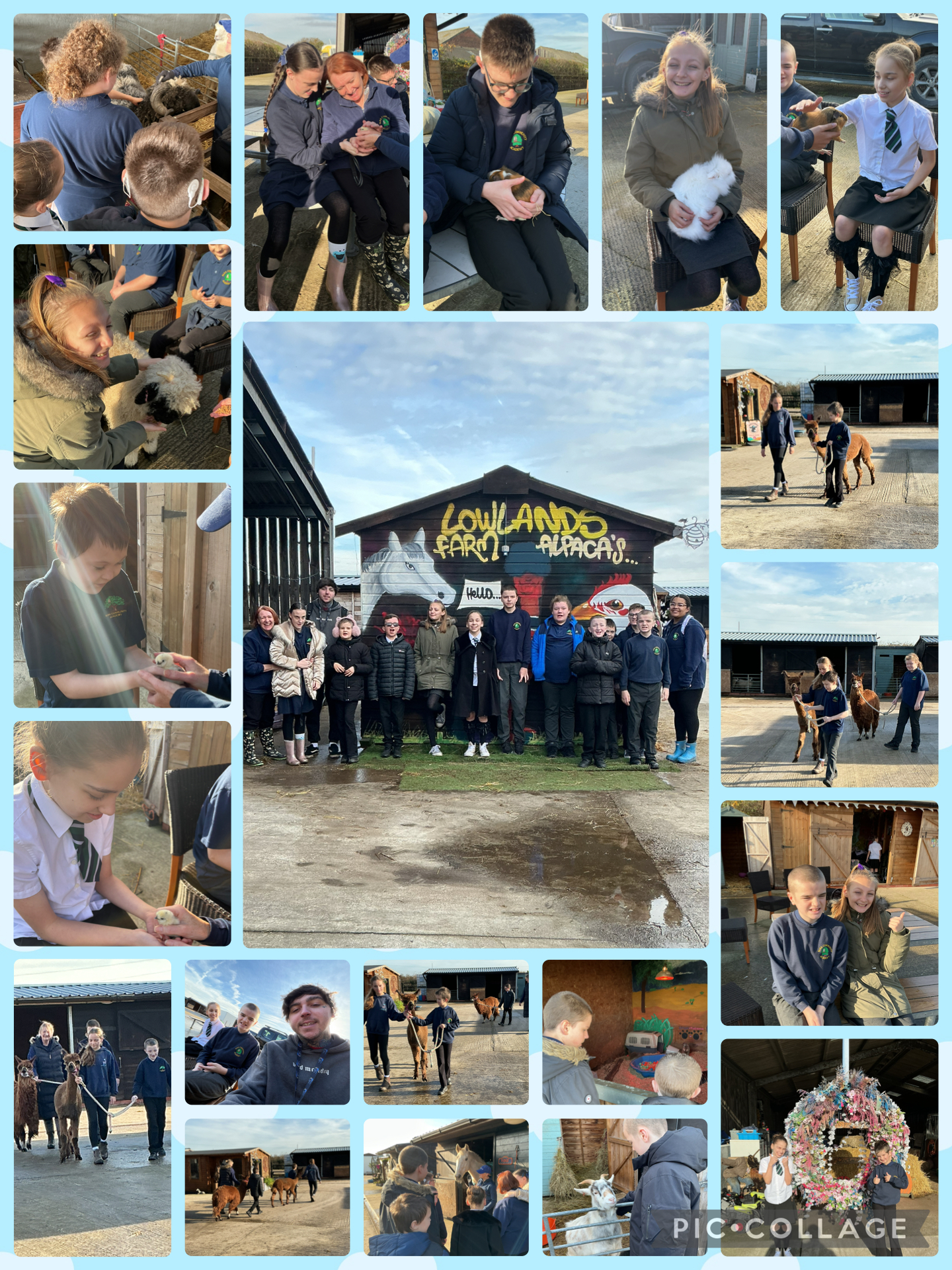 Image of Alpaca Farm Trip