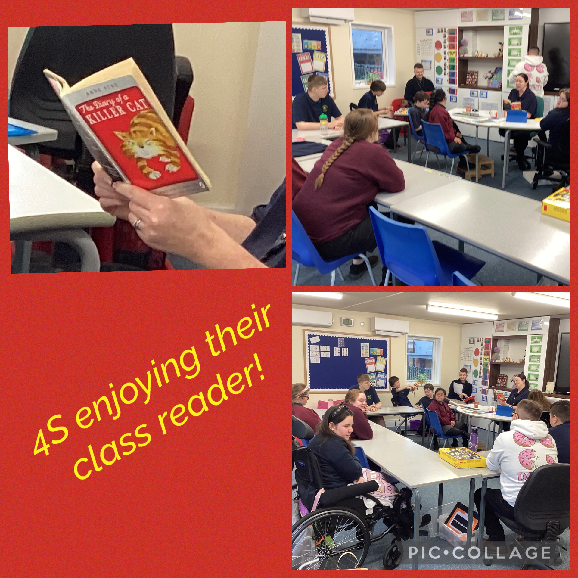  For our class reader we have been following the story of a killer cat by Anne Fine.  We have found it quite curious looking from the cat’s perception and seeing the world and his humans  through his lens !