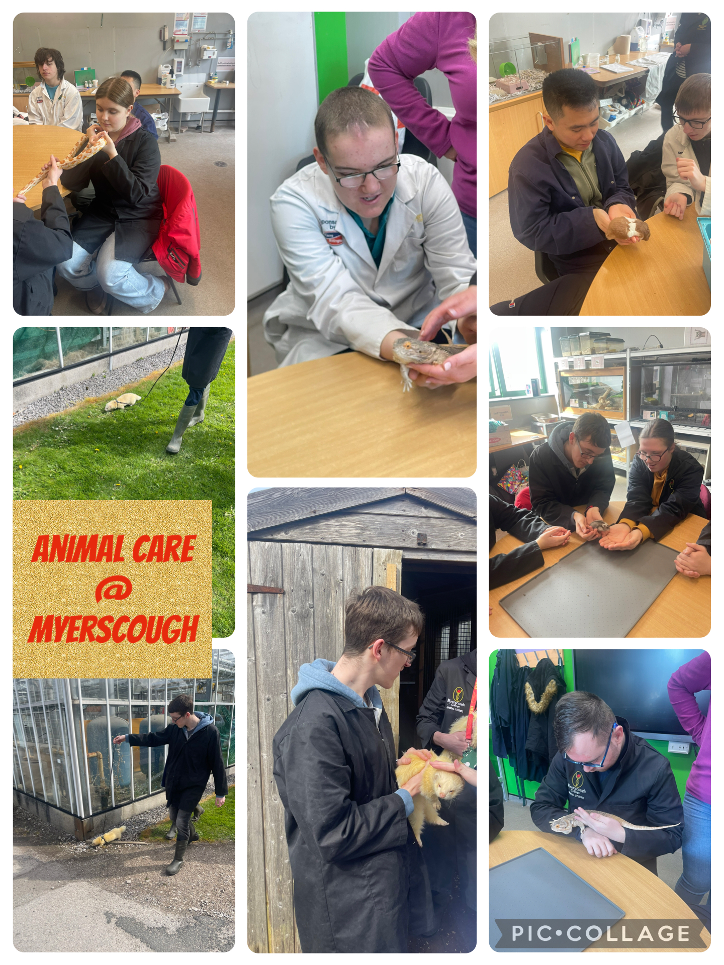 Image of Animal Care @ Myerscough