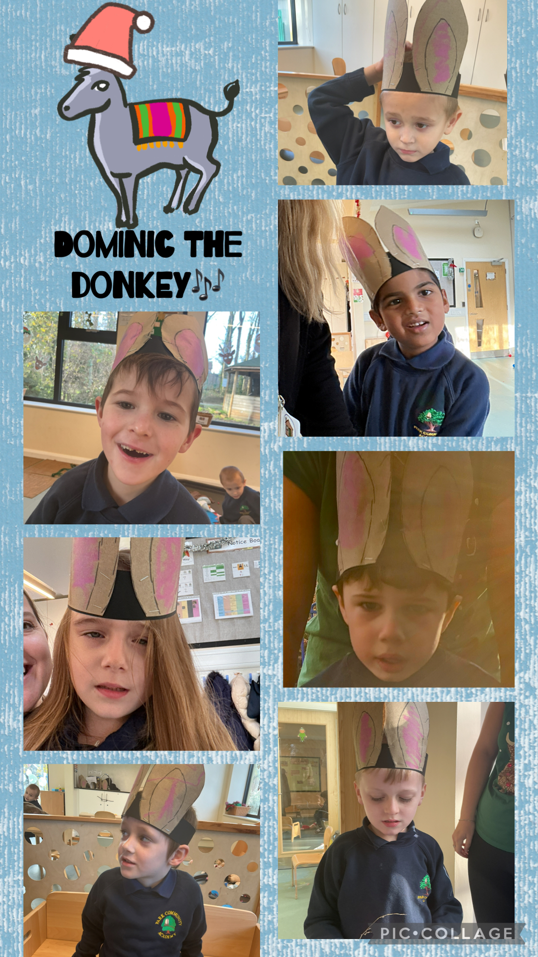 Image of Dominic the donkey