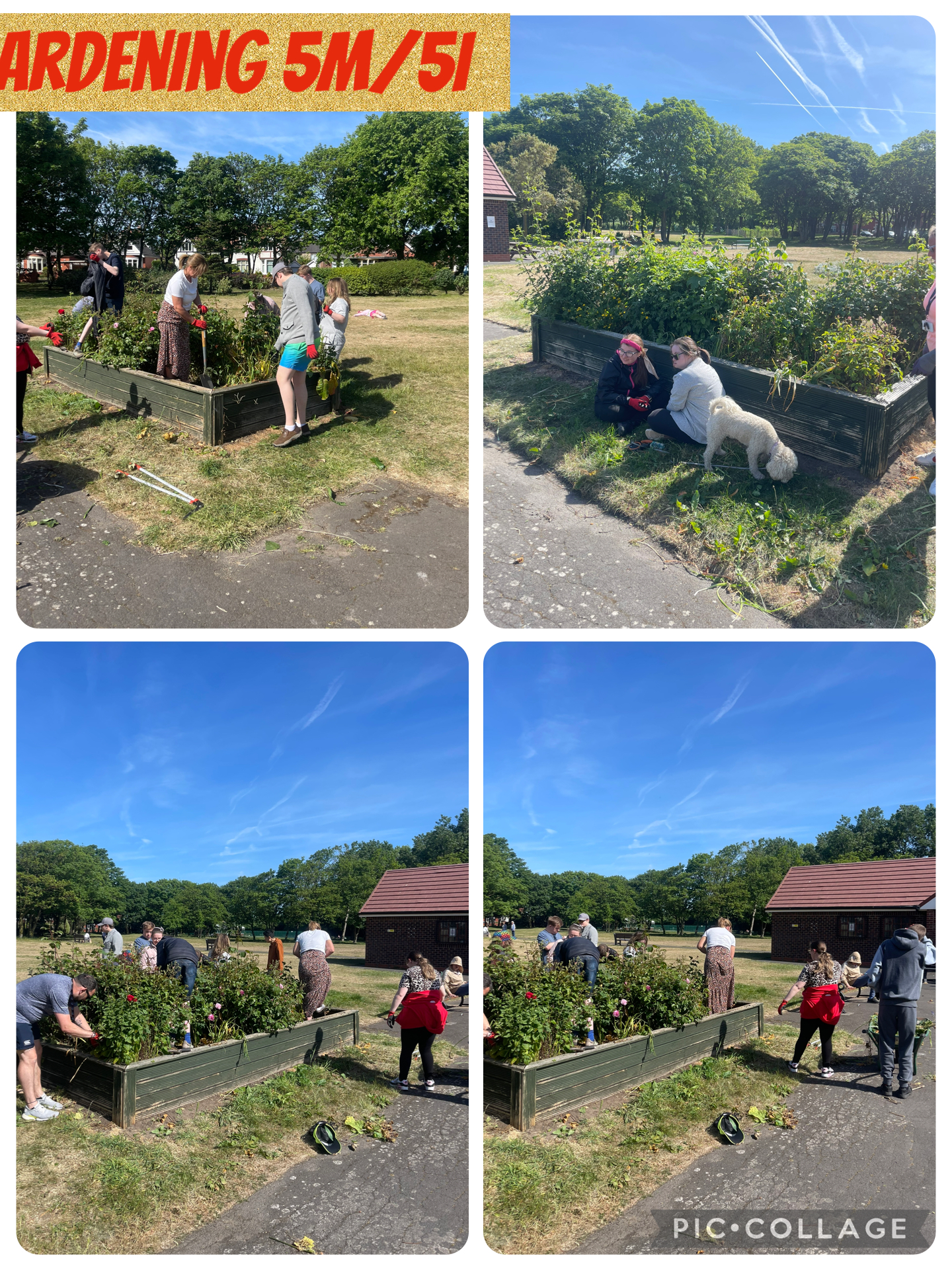 Image of Gardening