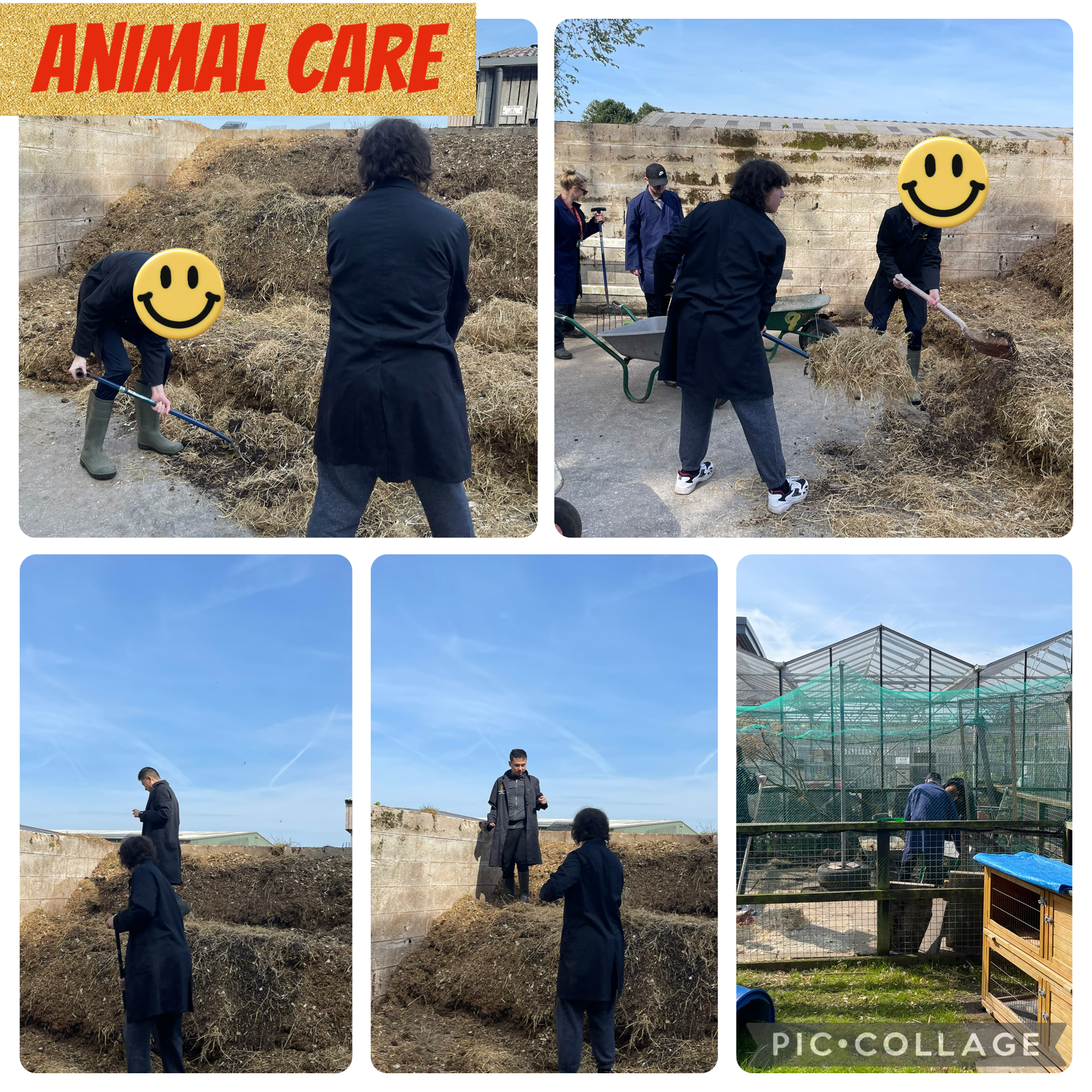Image of Myerscough animal care