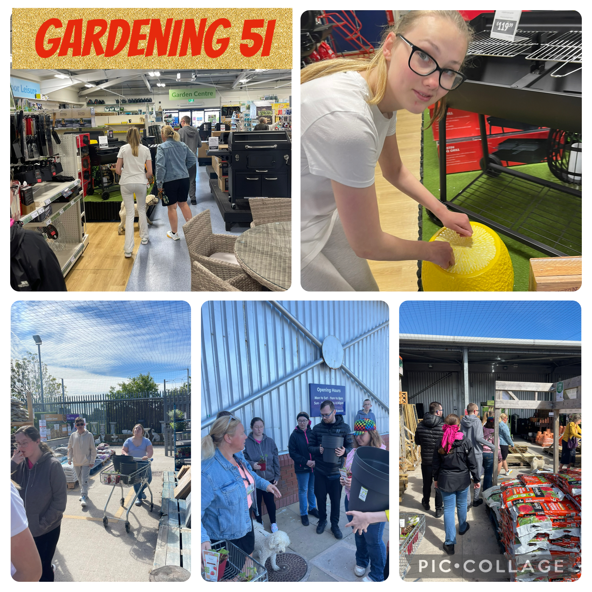 Image of 5I Gardening