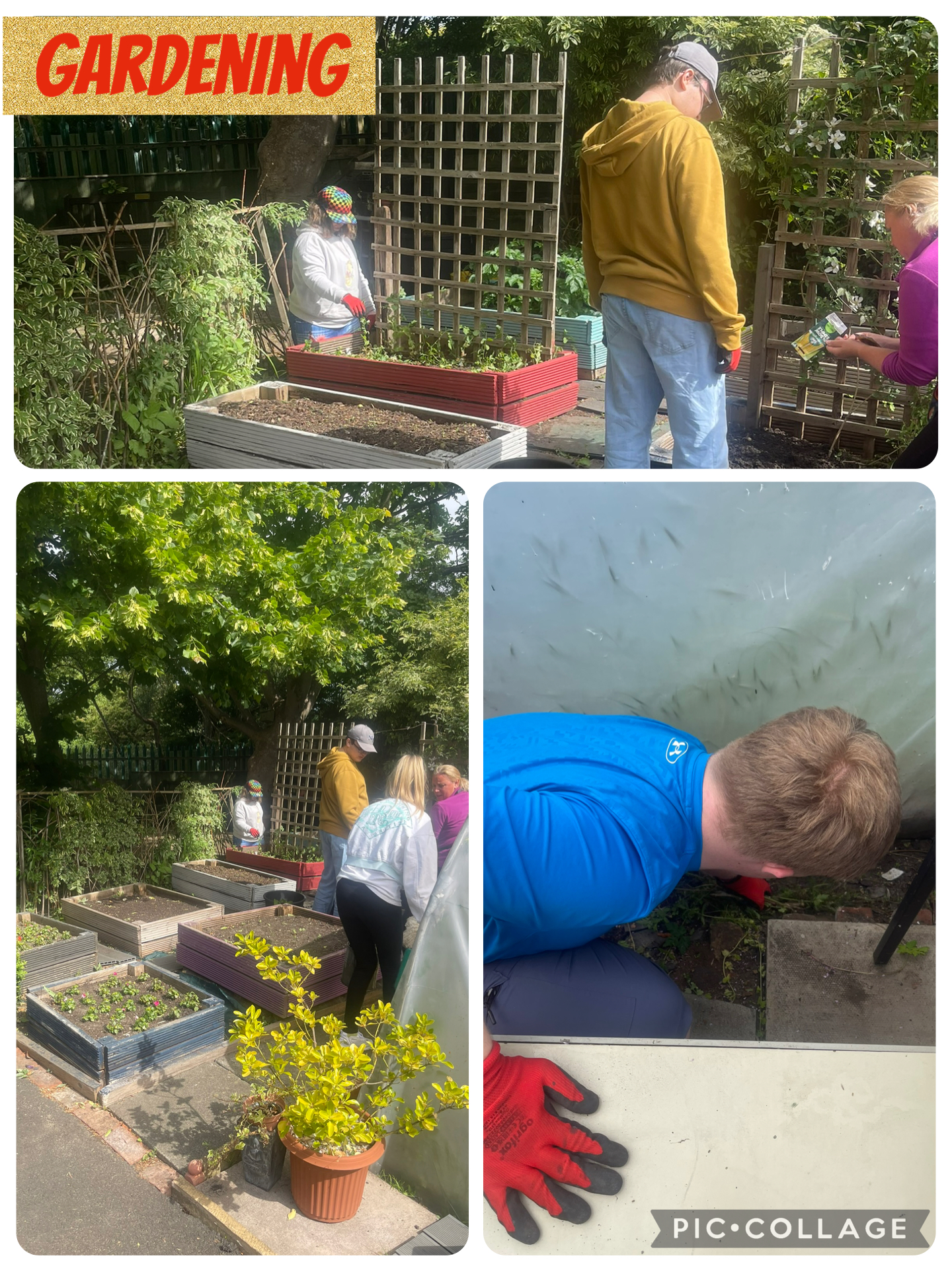 Image of Gardening