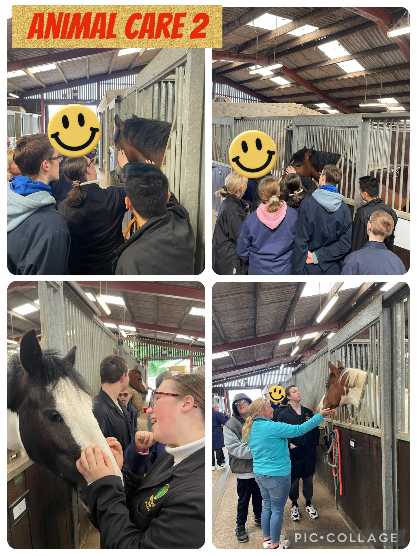 Image of Equine center @ Myerscough