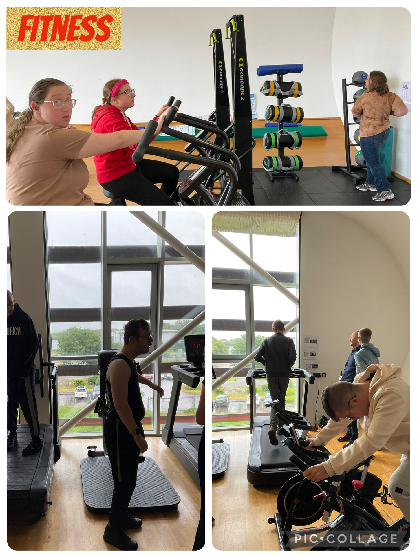 Image of Fitness