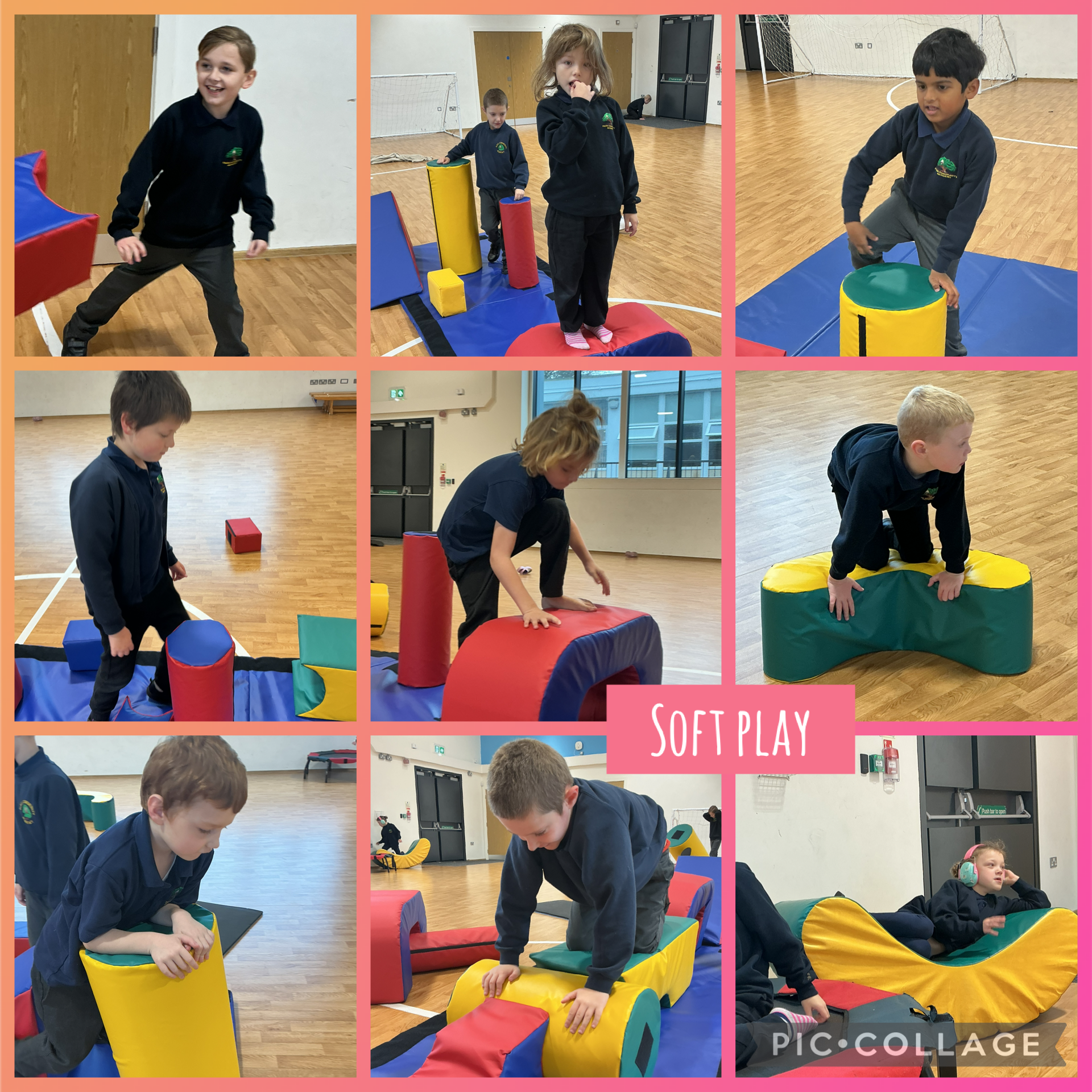 Image of Exploring our sensory circuit