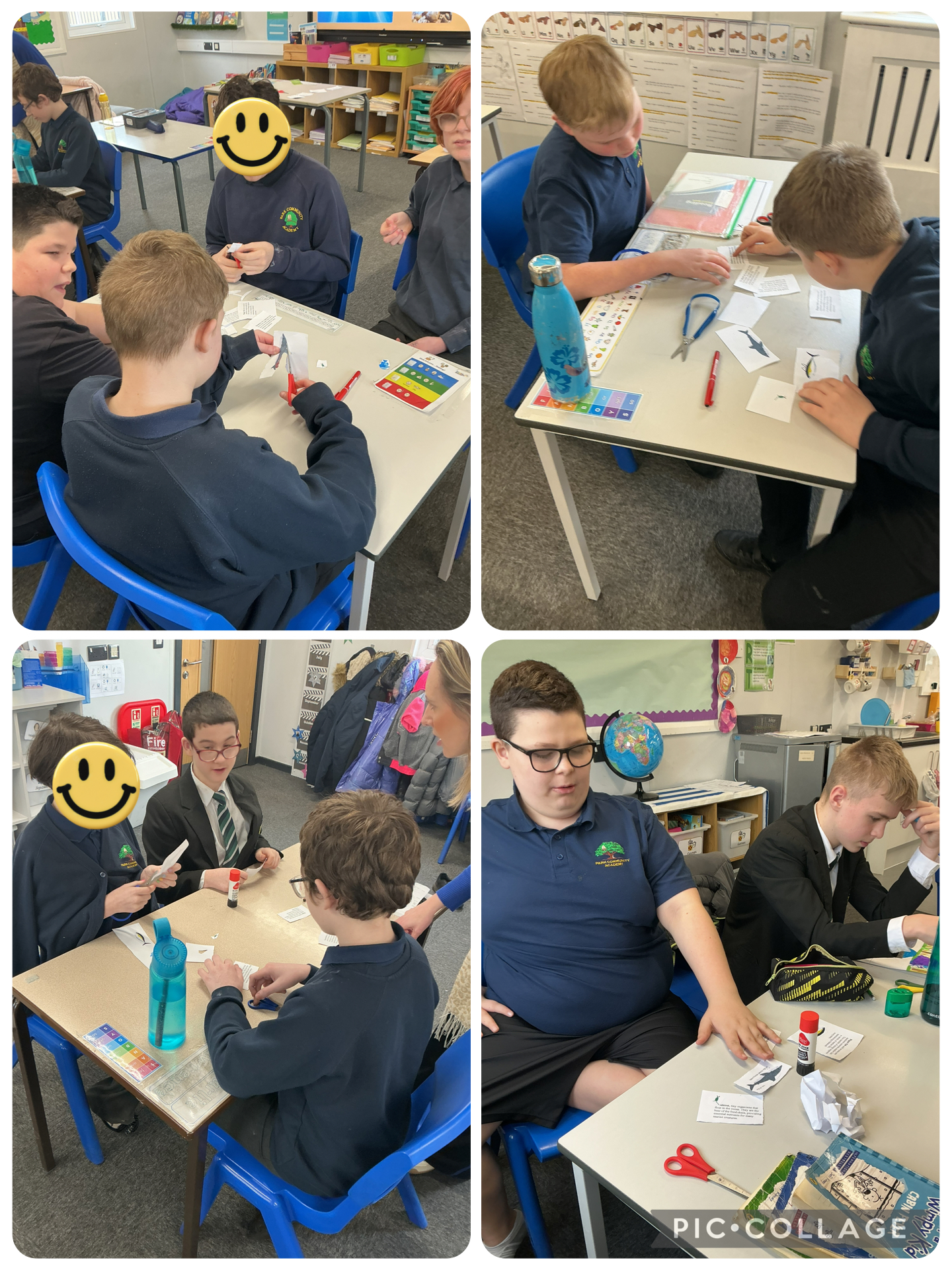 Image of Teamwork in Geography! 