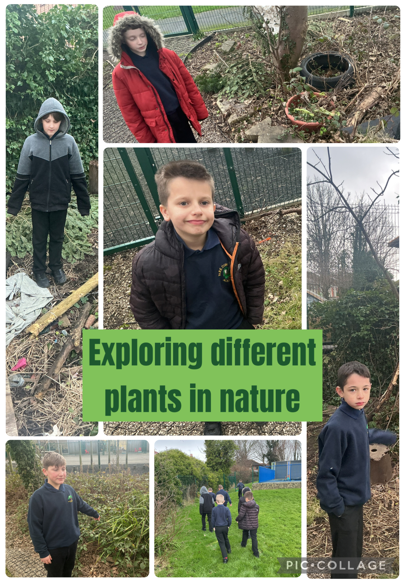 Image of Exploring different plants 