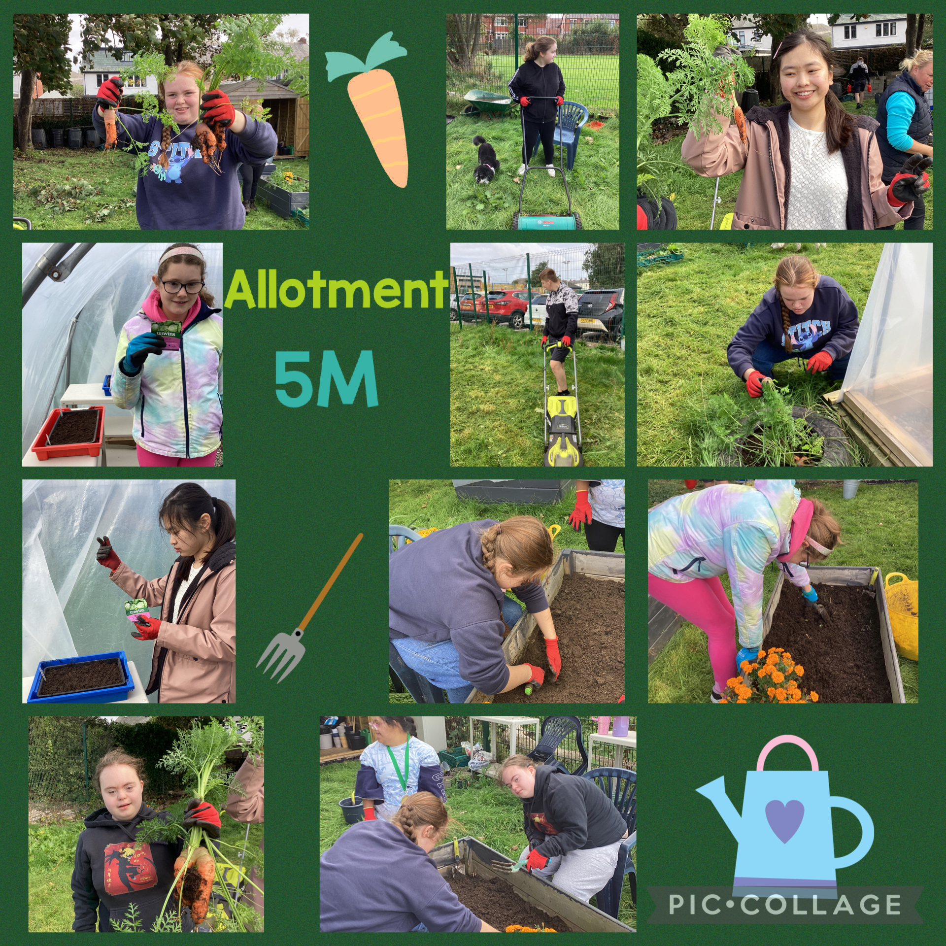 Image of Allotment 