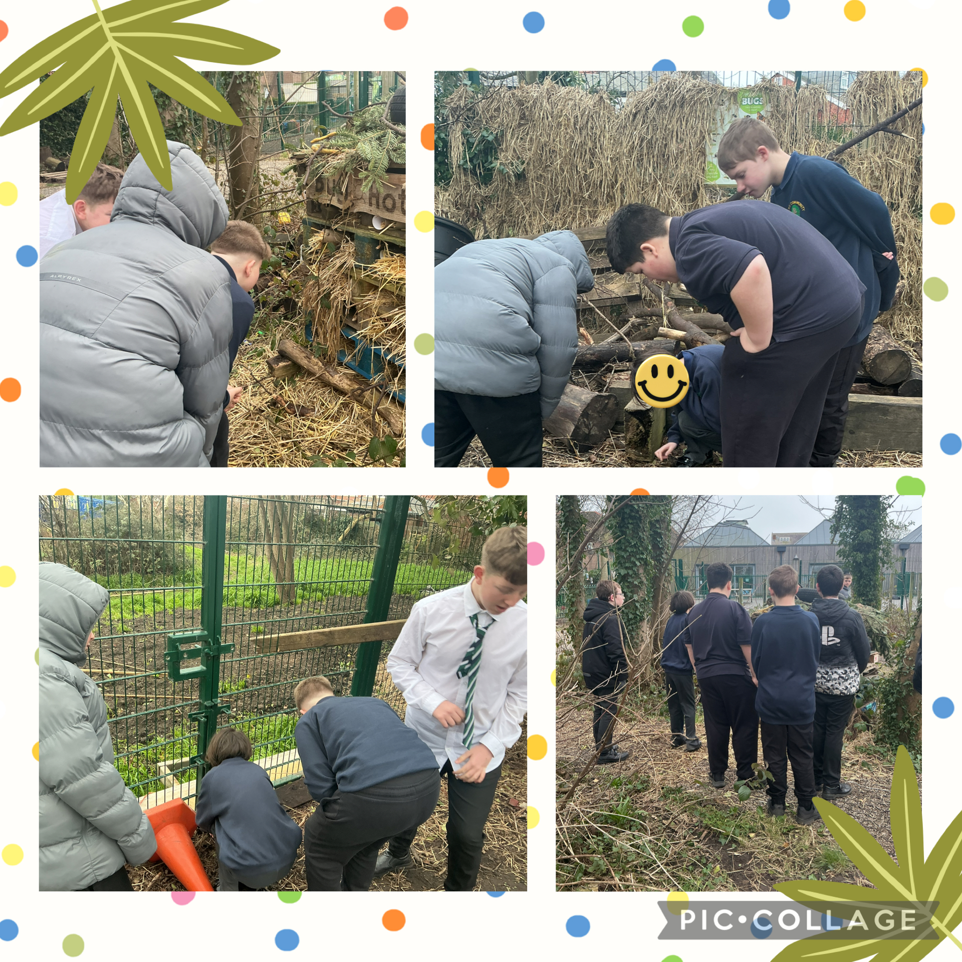 Image of Microhabitats