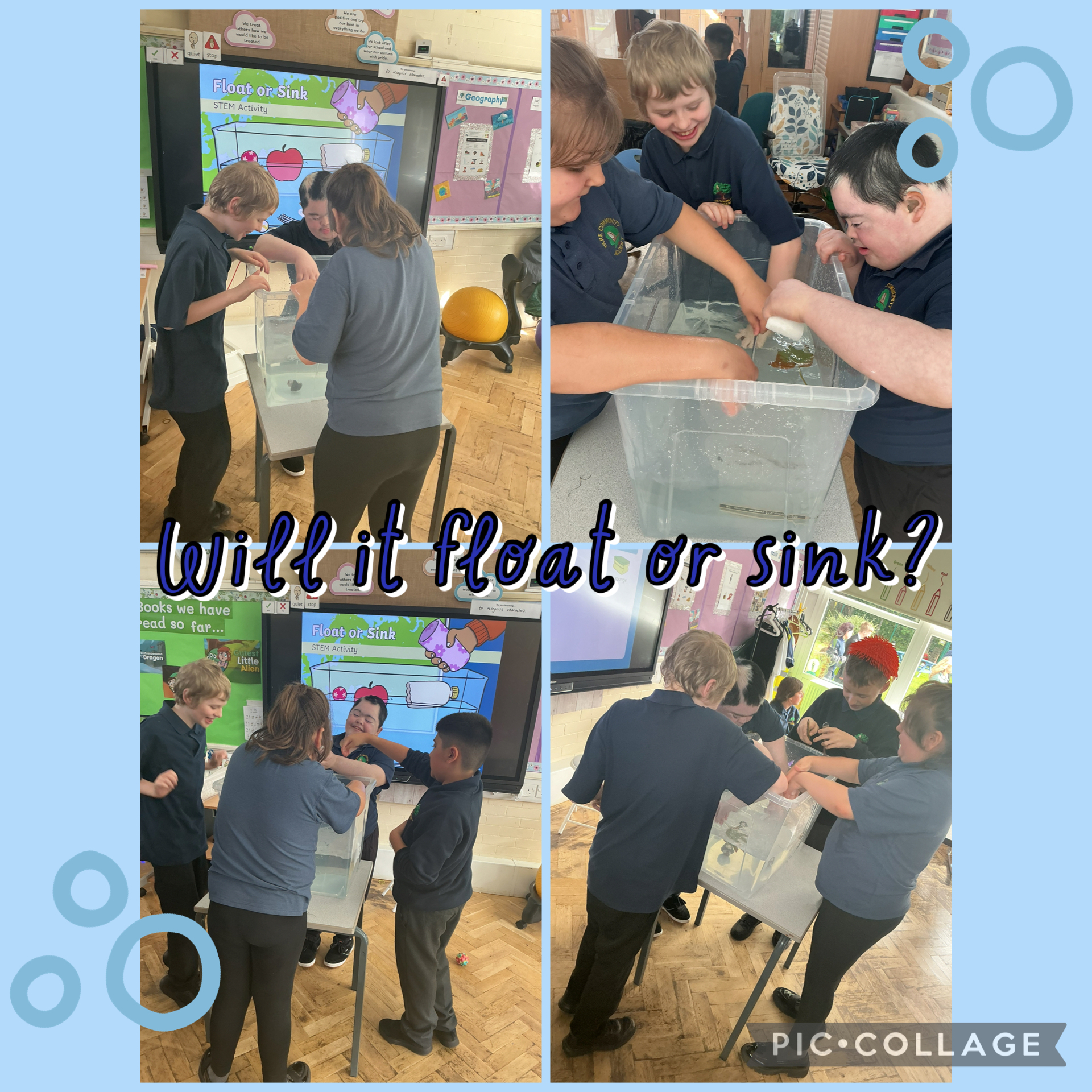 Image of Float or sink?