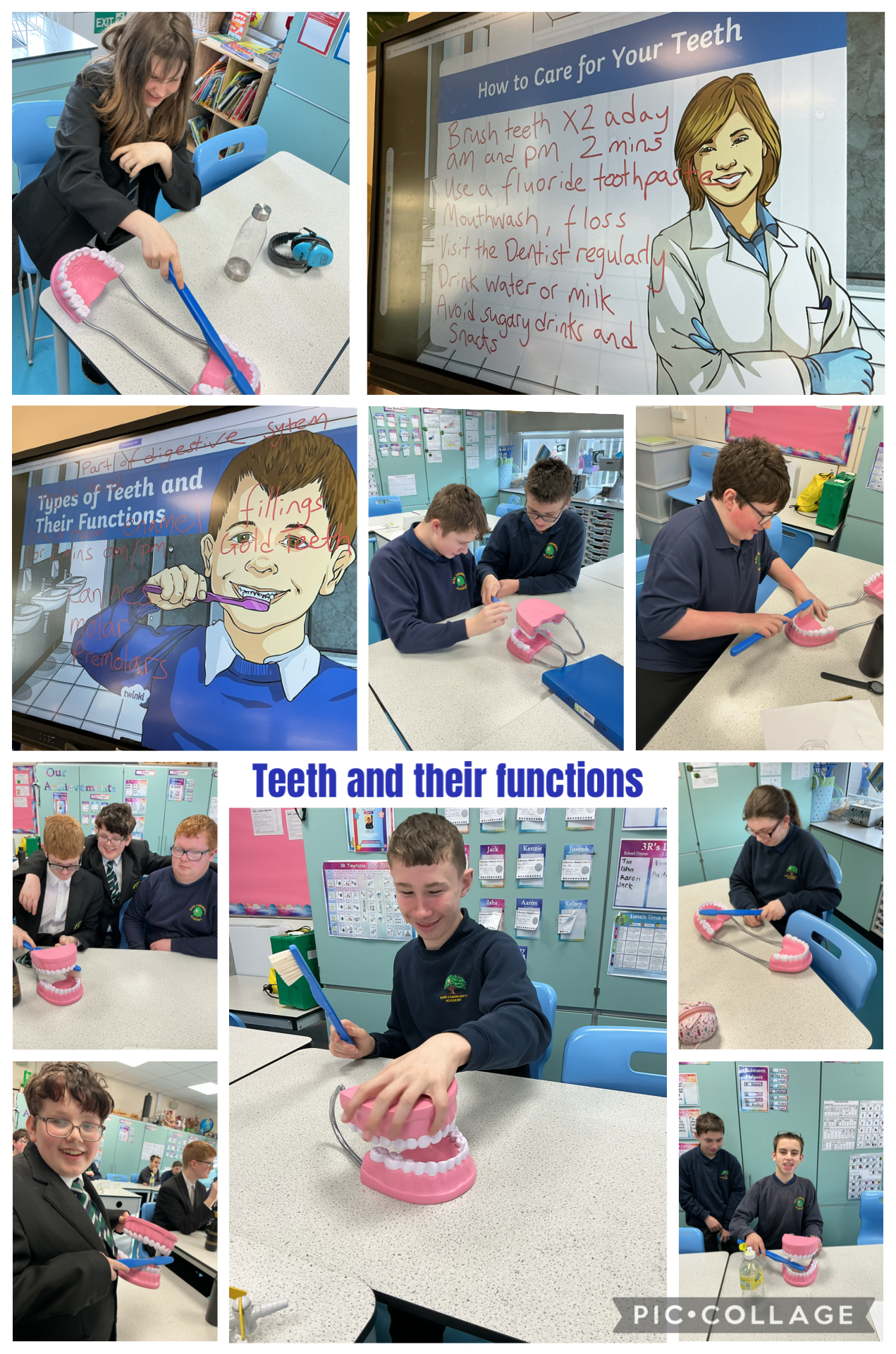 Image of Learning all about Teeth