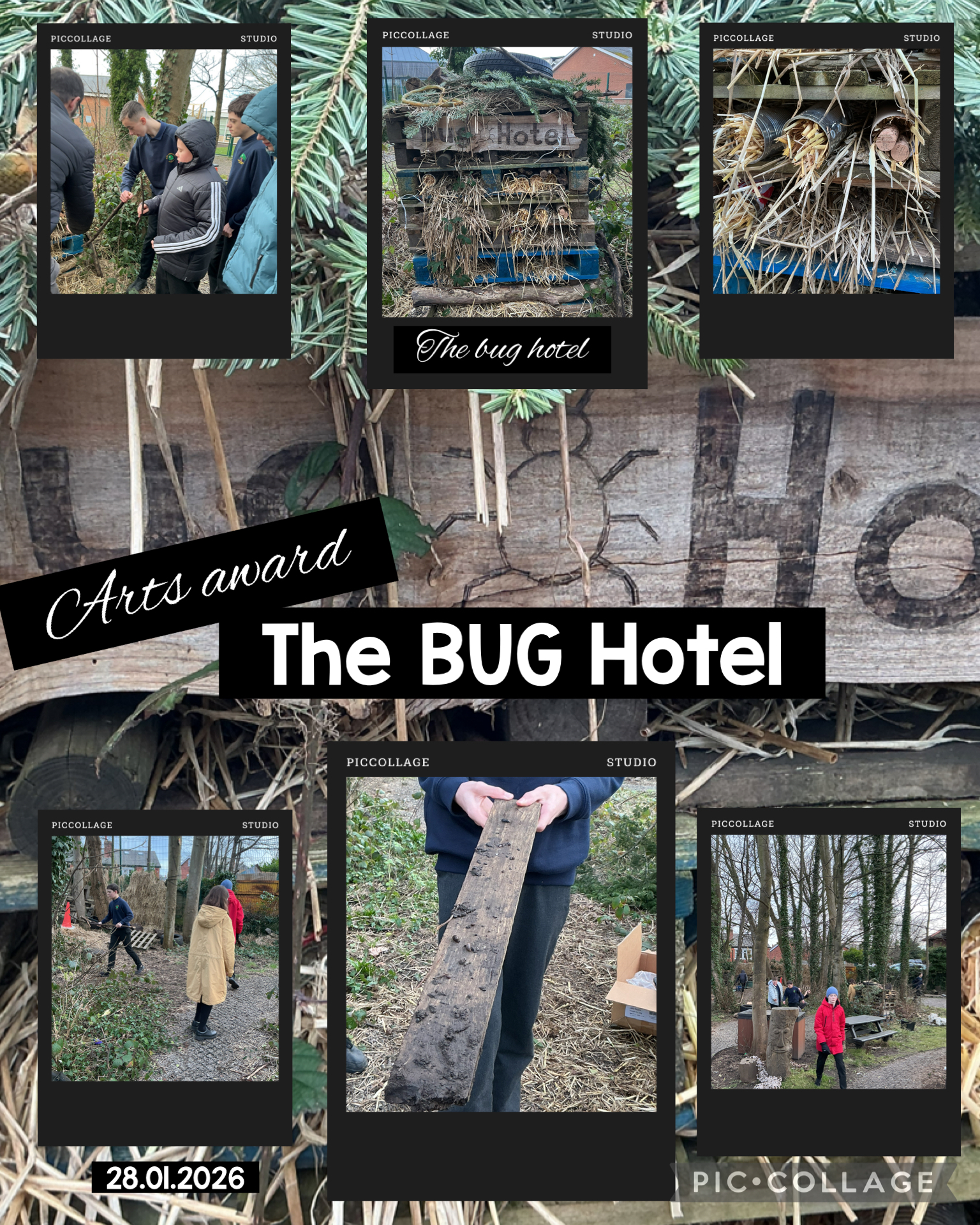 Image of Welcome to the Bug Hotel! 