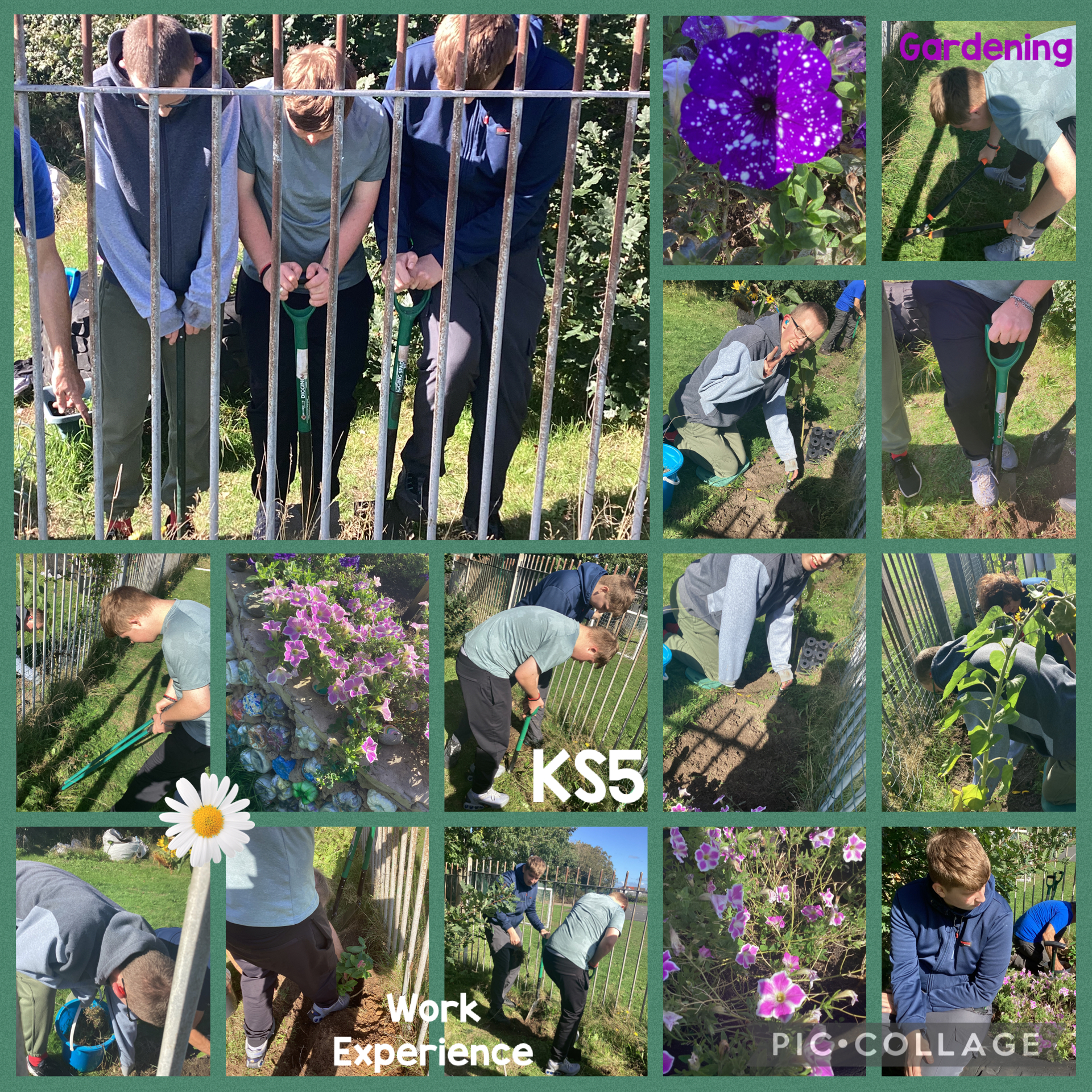 Image of Work Experience Horticulture