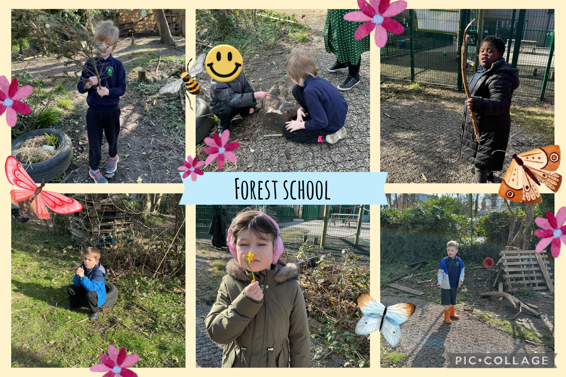 Image of Fun in the forest school 