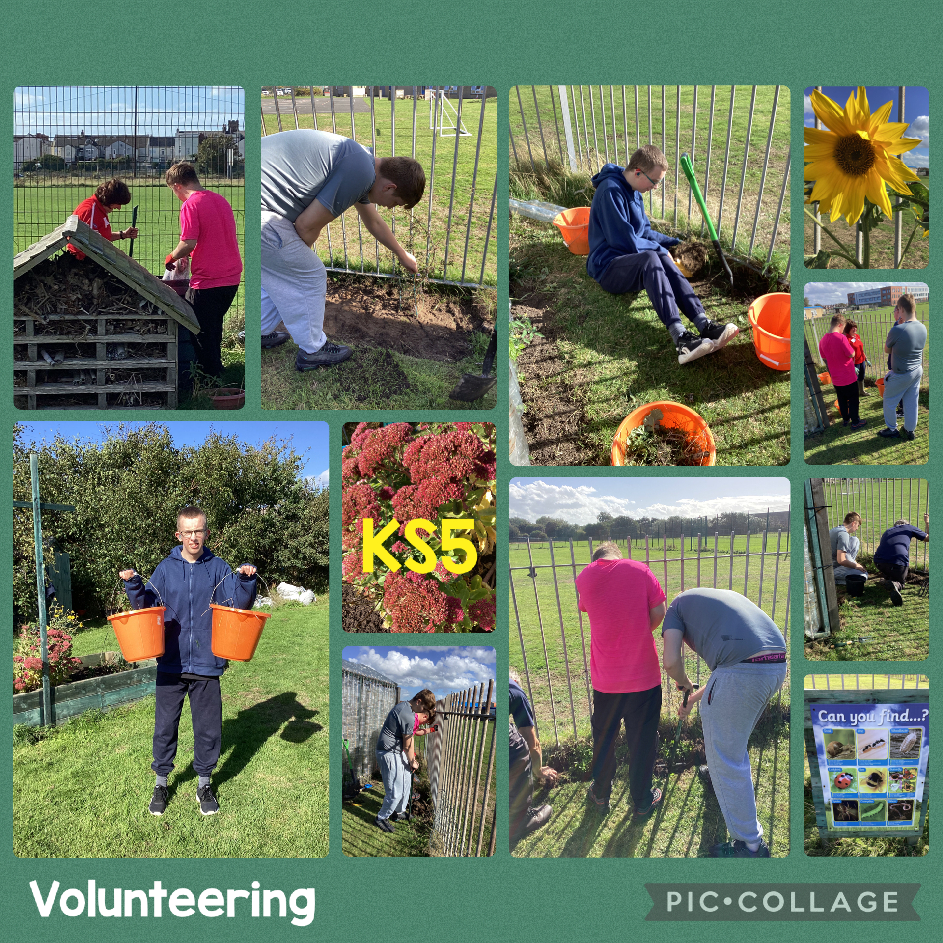 Image of Work Experience Gardening 