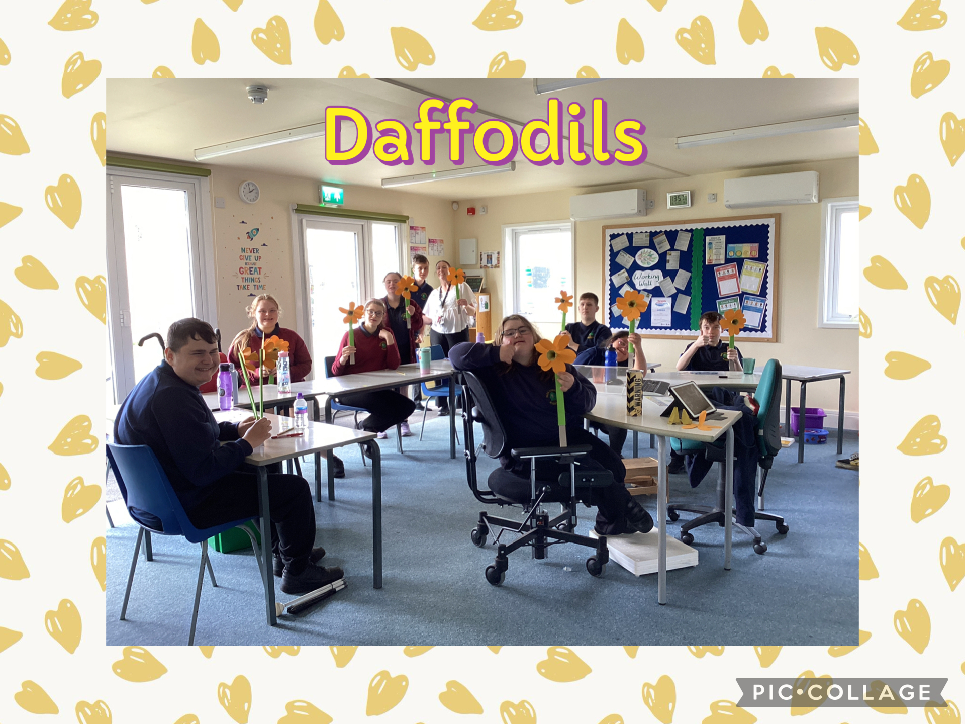 Image of Daffodils in 4S