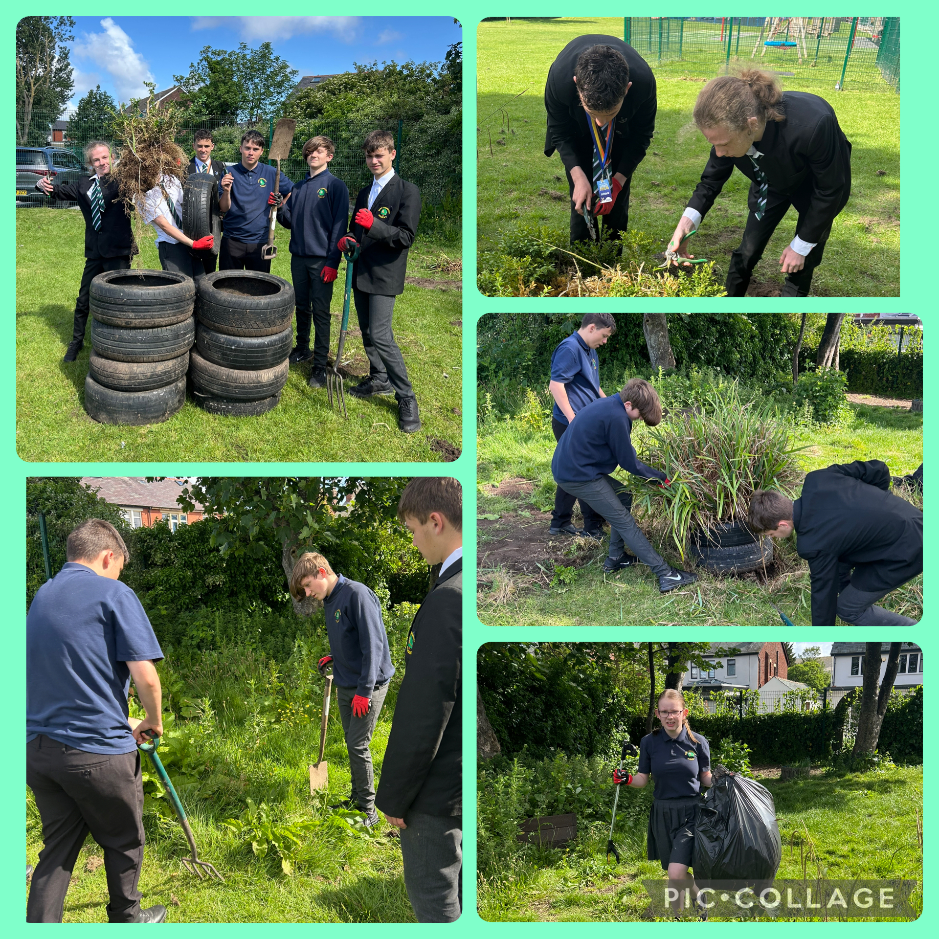 Image of Eco clean up