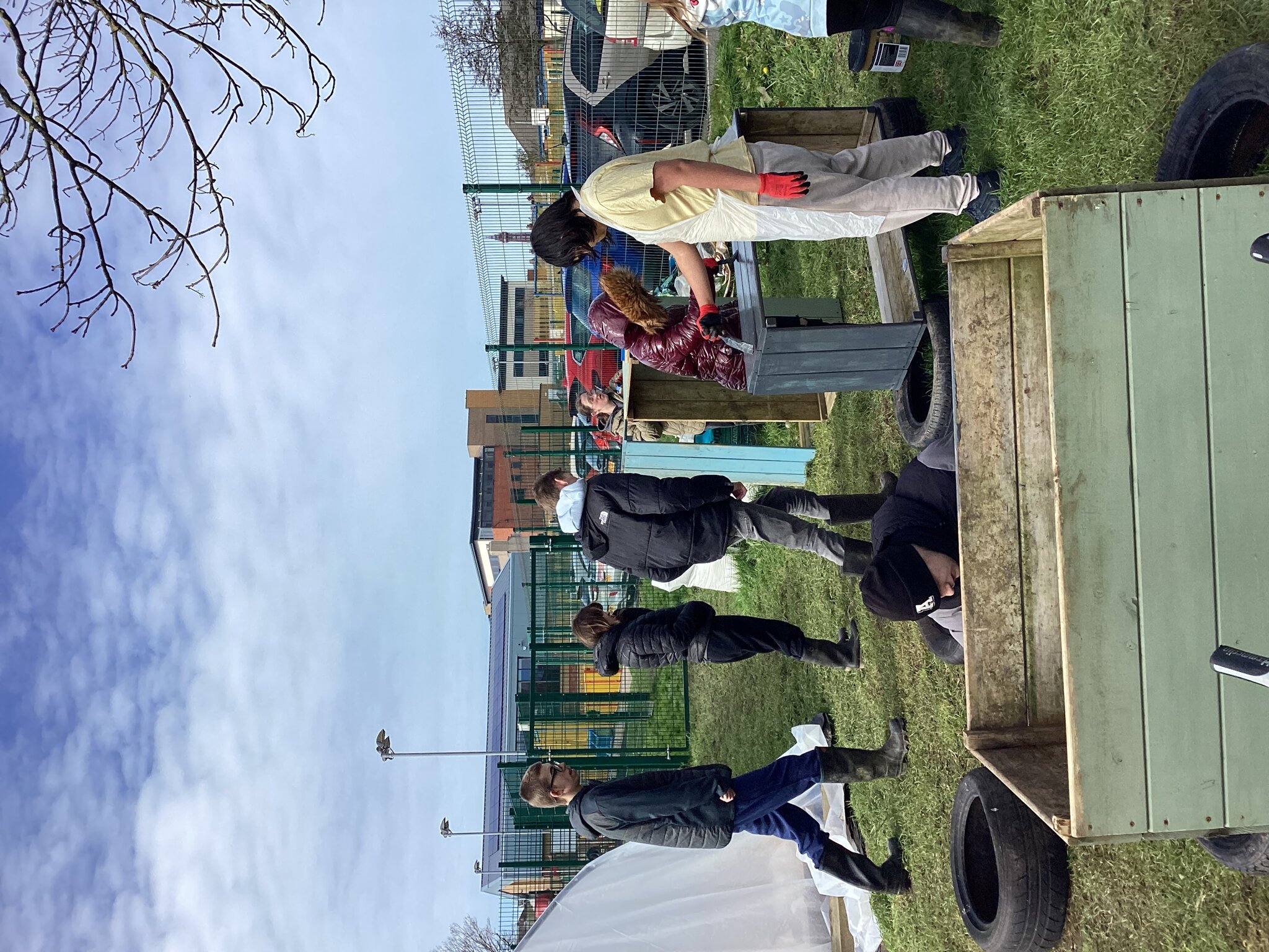 Image of Day at the Allotment 