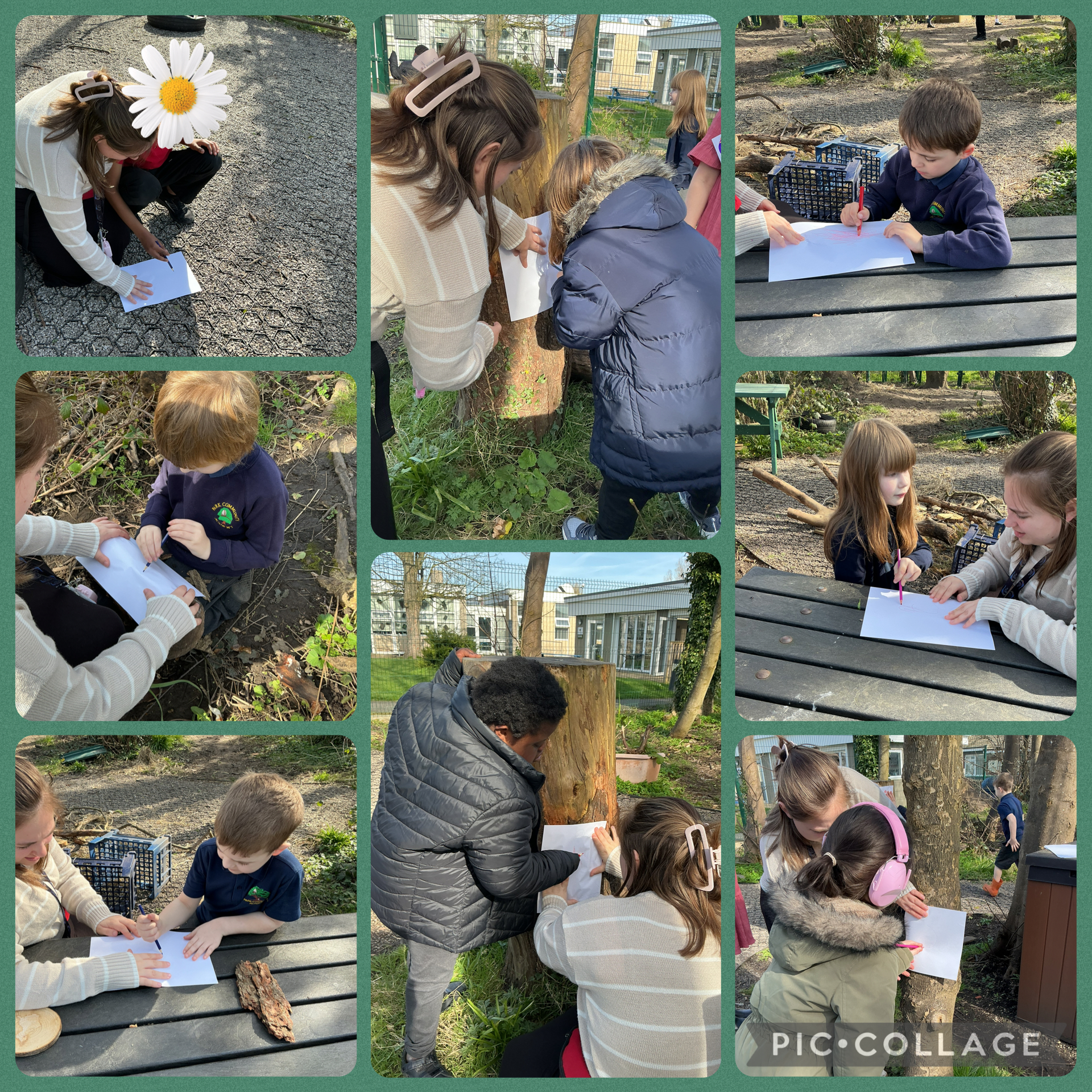 Image of Mark making in nature