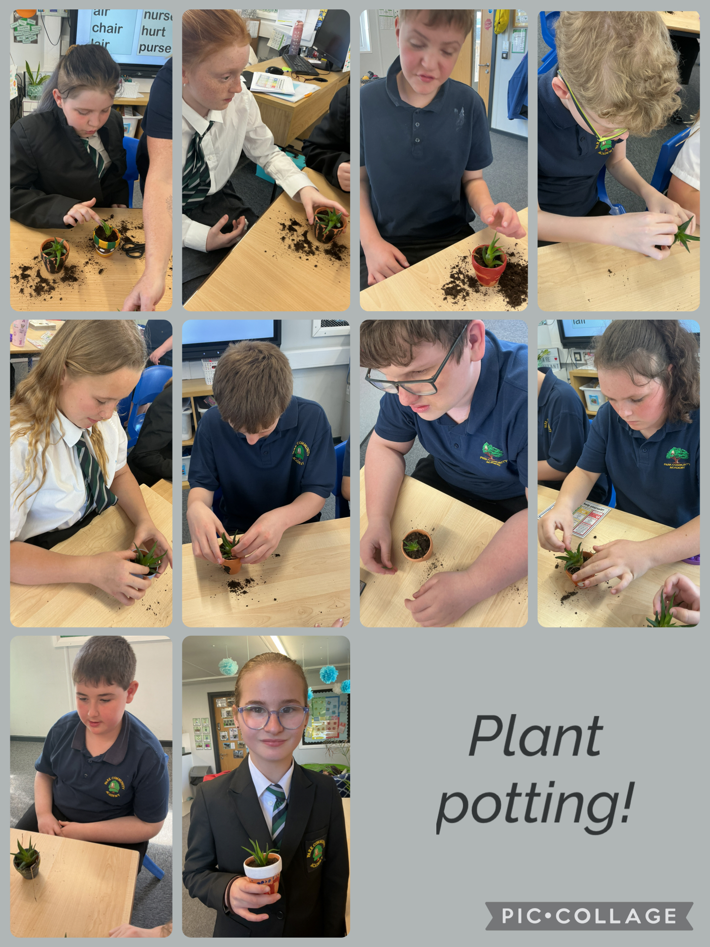 Image of Potting plants!