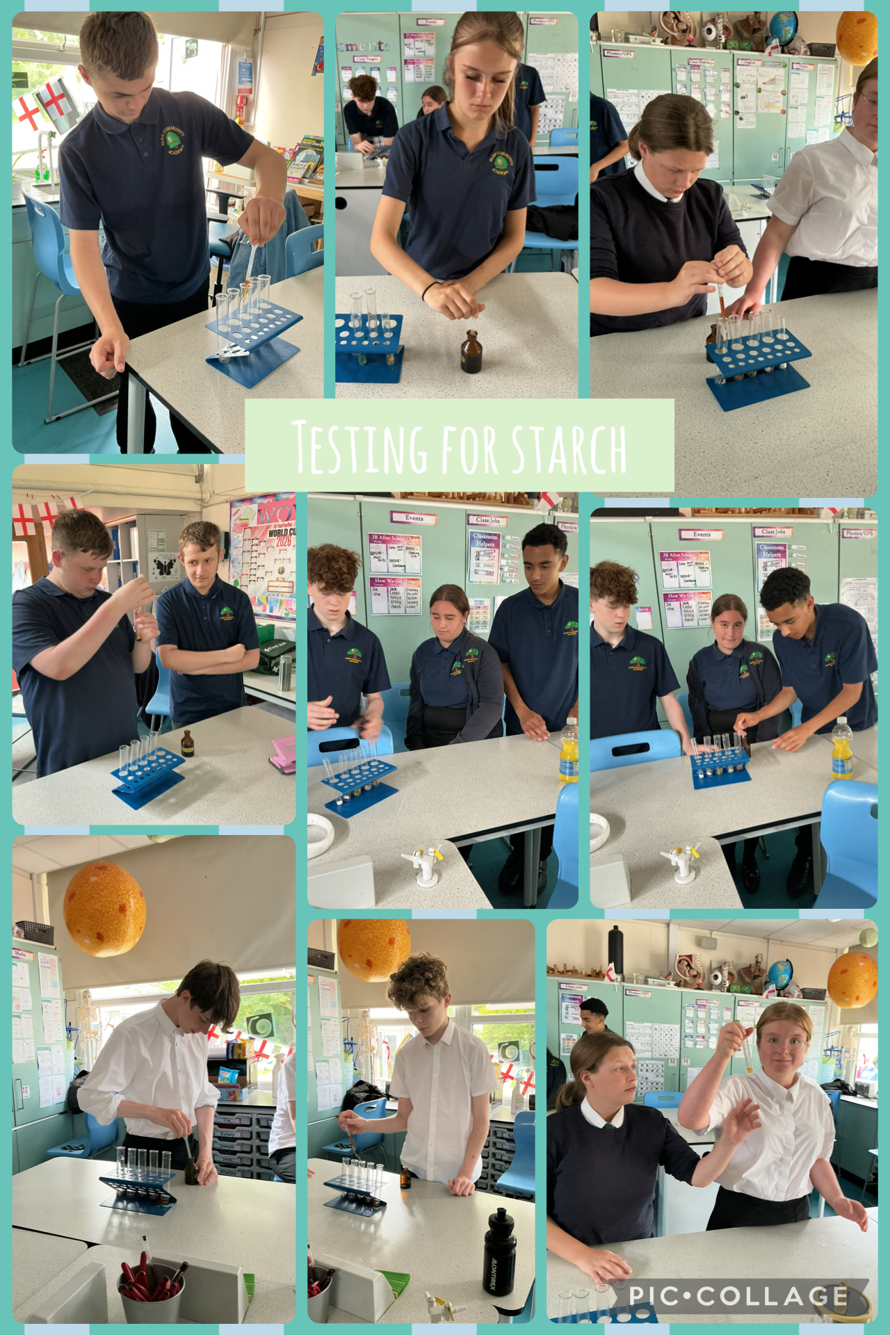 Image of Testing for Starch