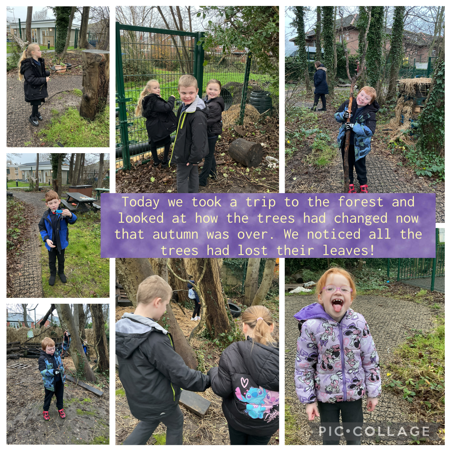 Image of Winter forest fun!