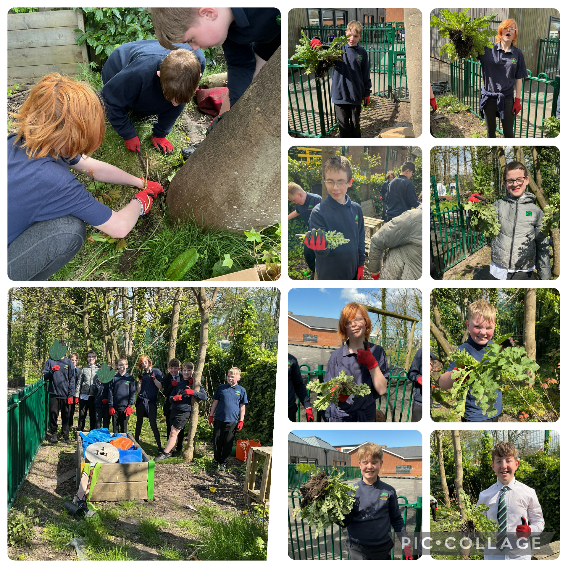 Image of Feeling Green