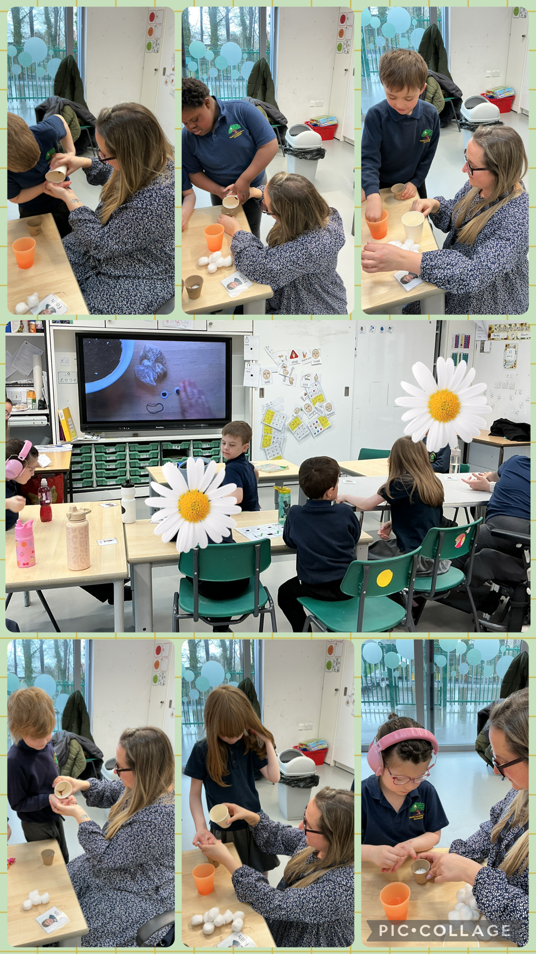 Image of Cress heads!