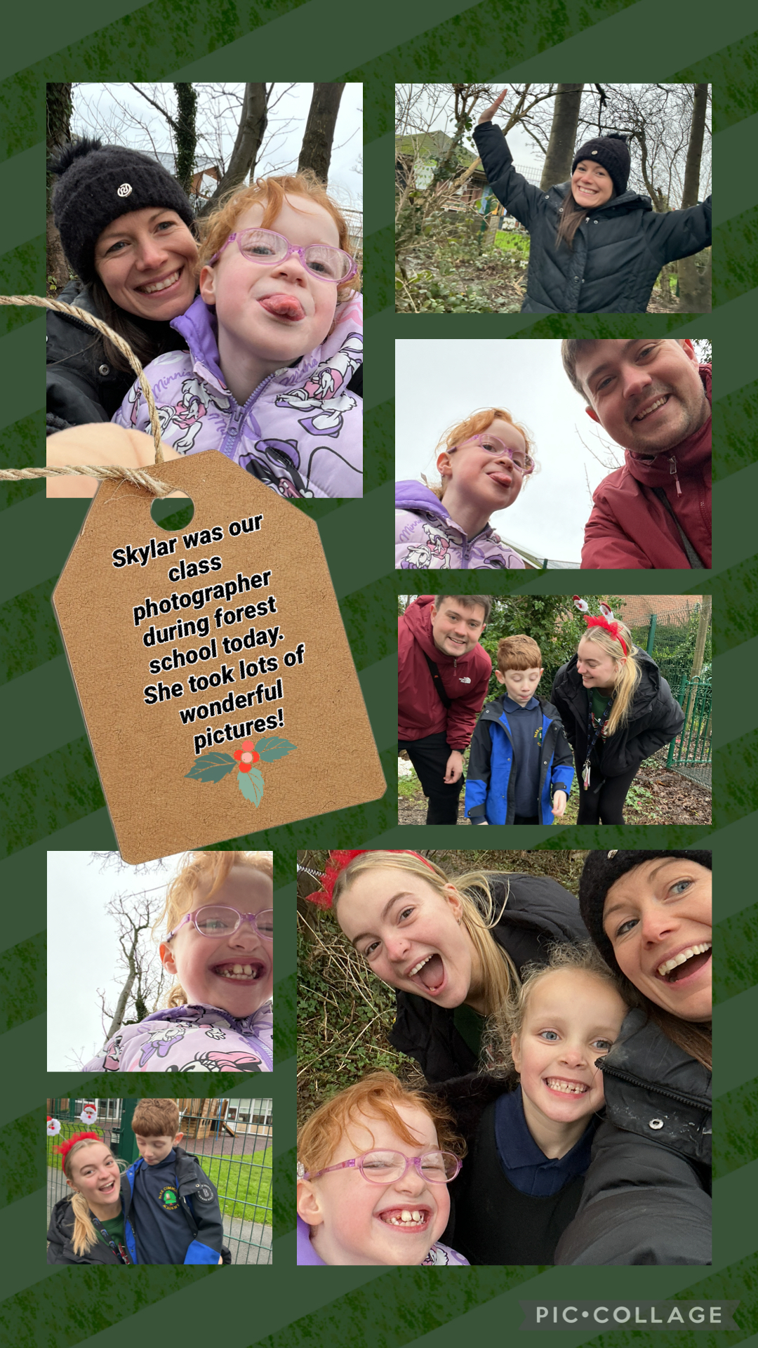 Image of Forest photos