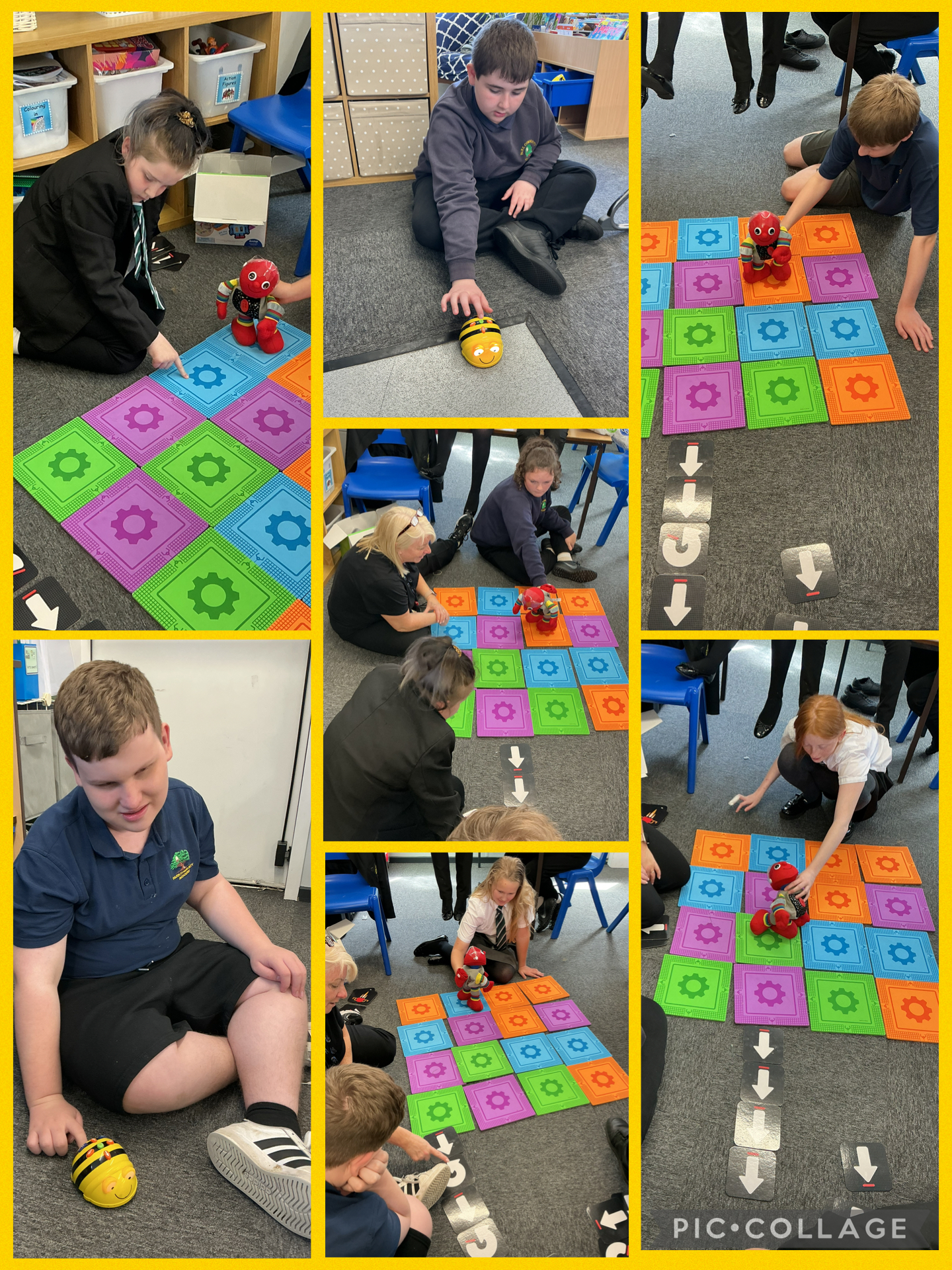 Image of Beebots