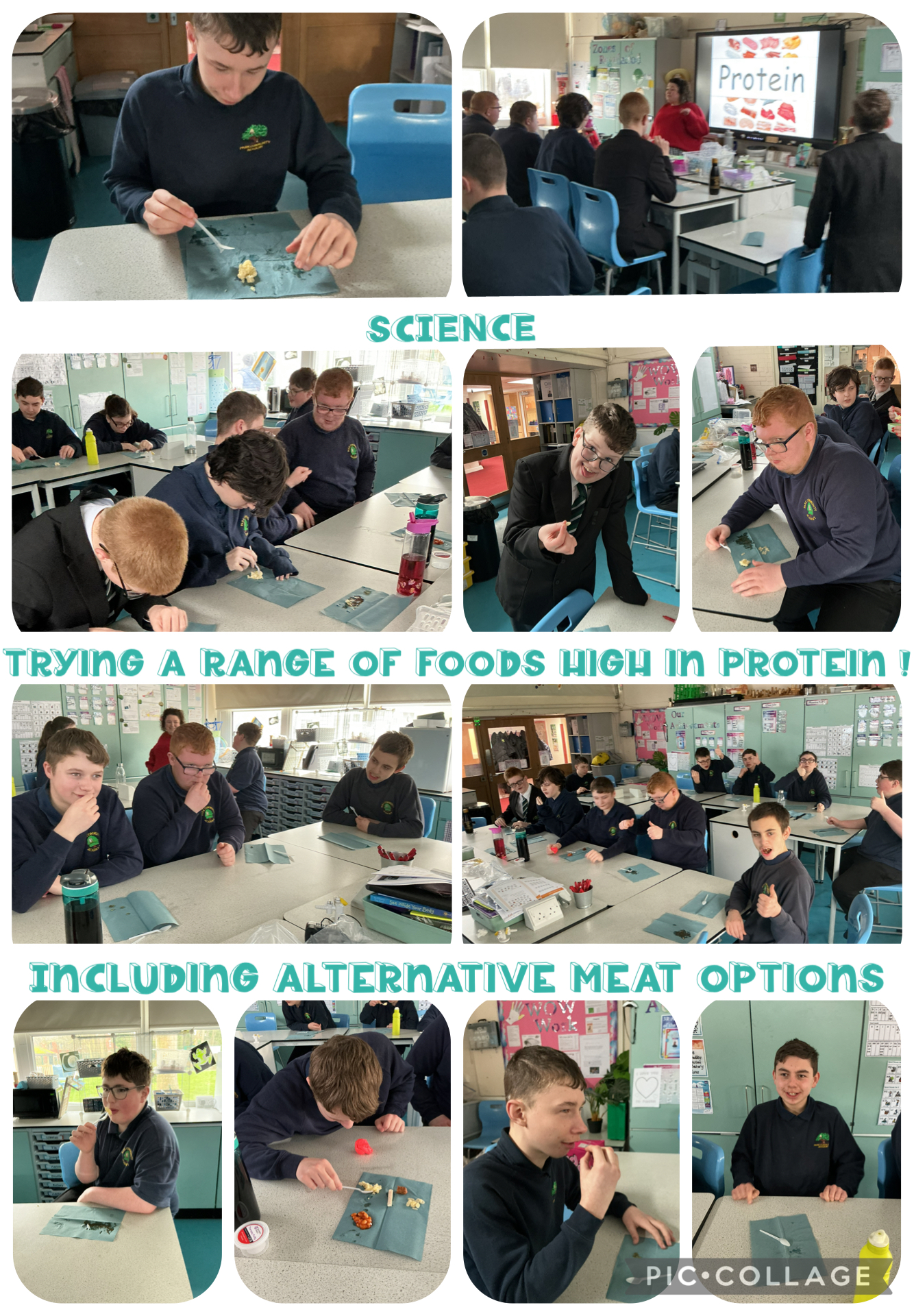 Image of Trying a range of protein filled foods 