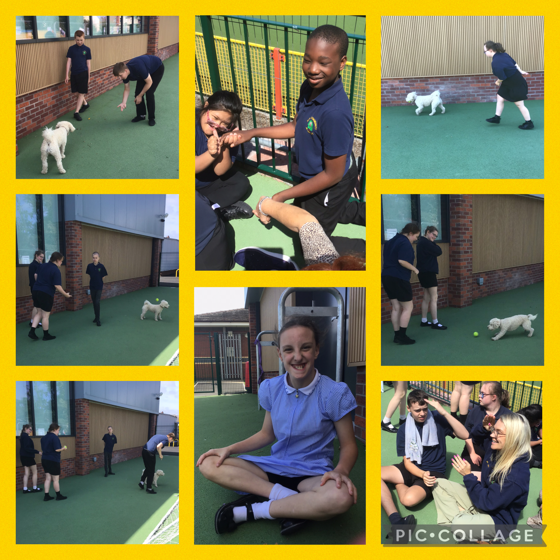 Image of We love practicing our social skills outside ☀️