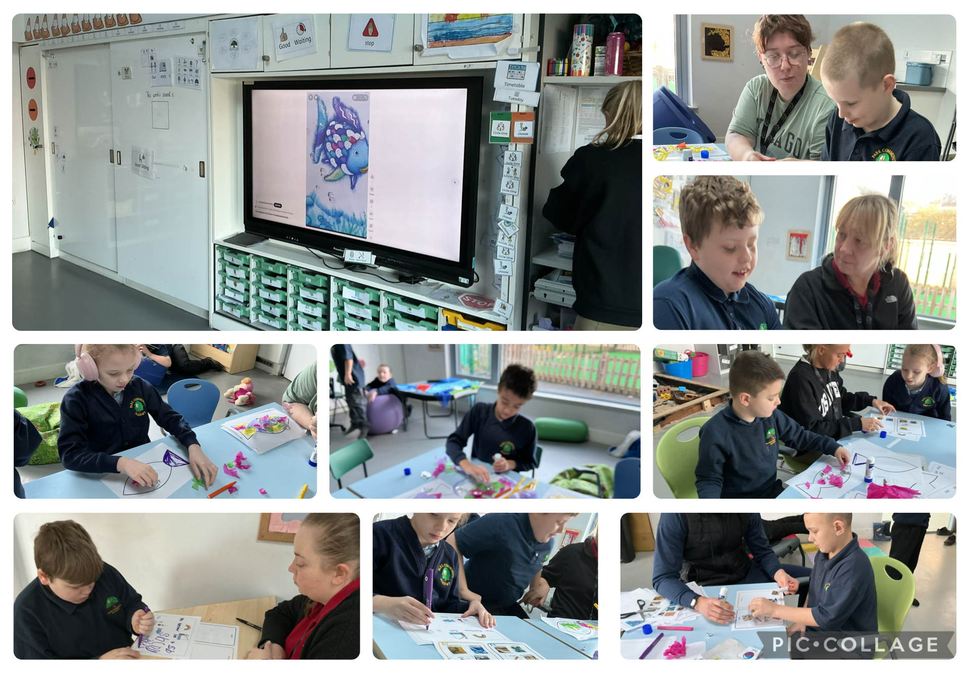 Image of Colourful Fish